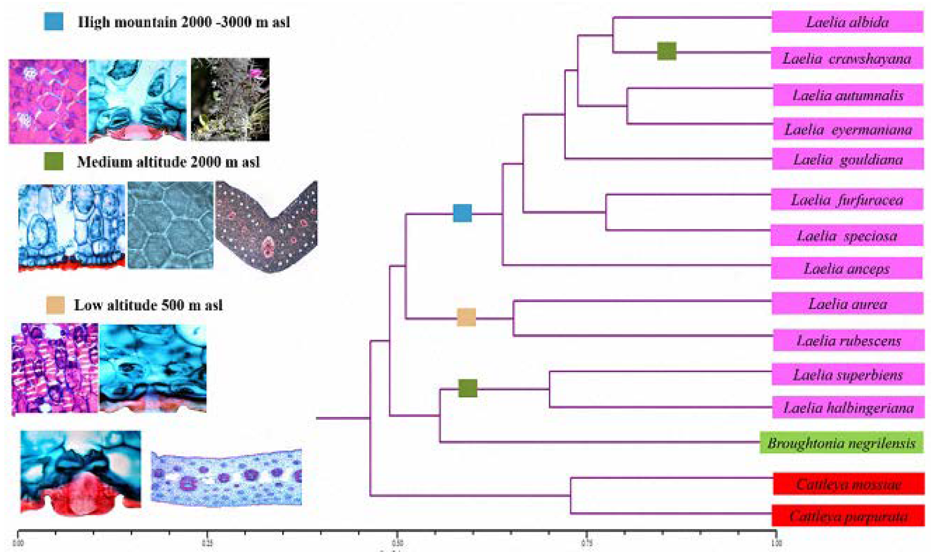 Plants 12 01089 g008 Plants 12 01089 g008