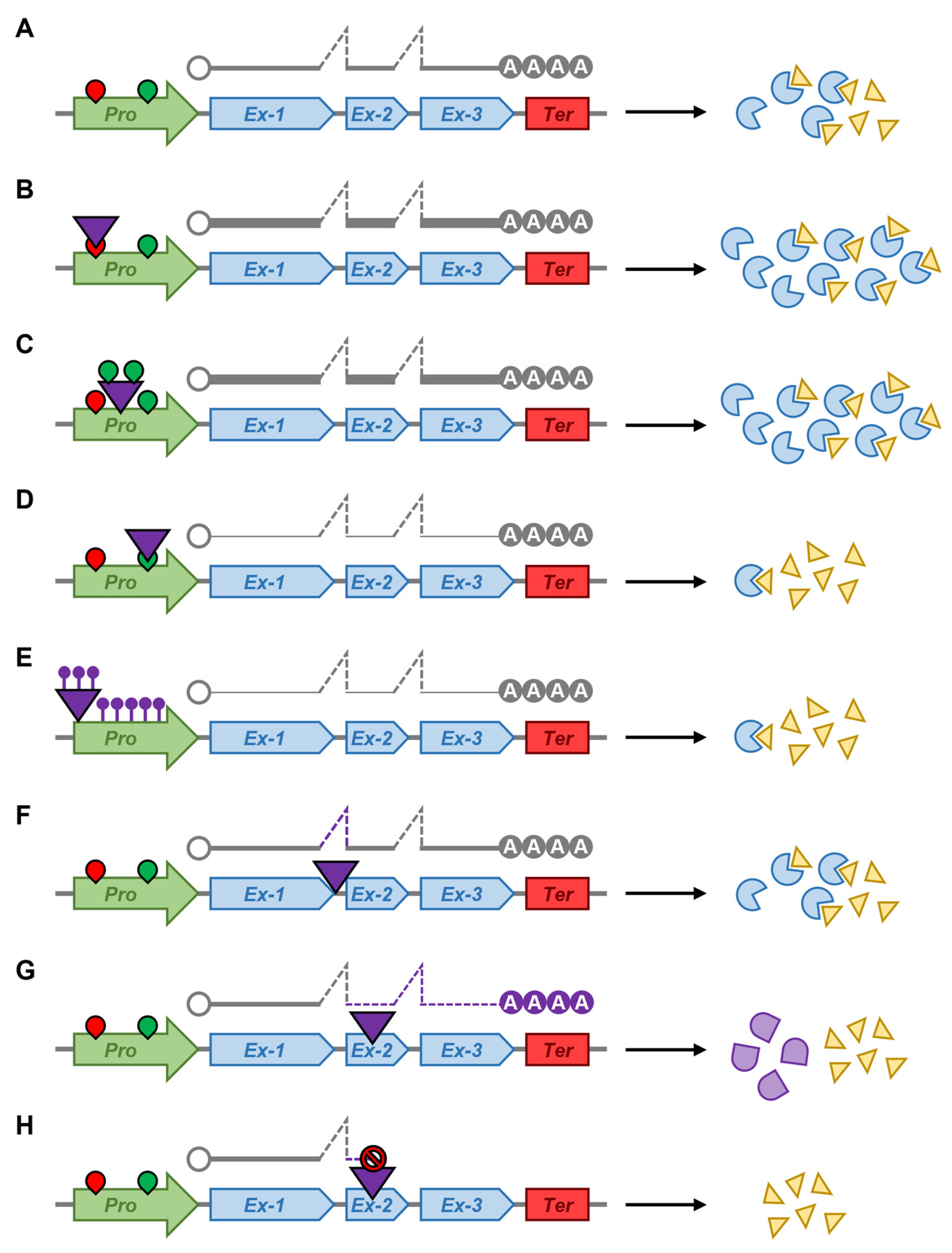 Plants 12 01101 g002 Plants 12 01101 g002