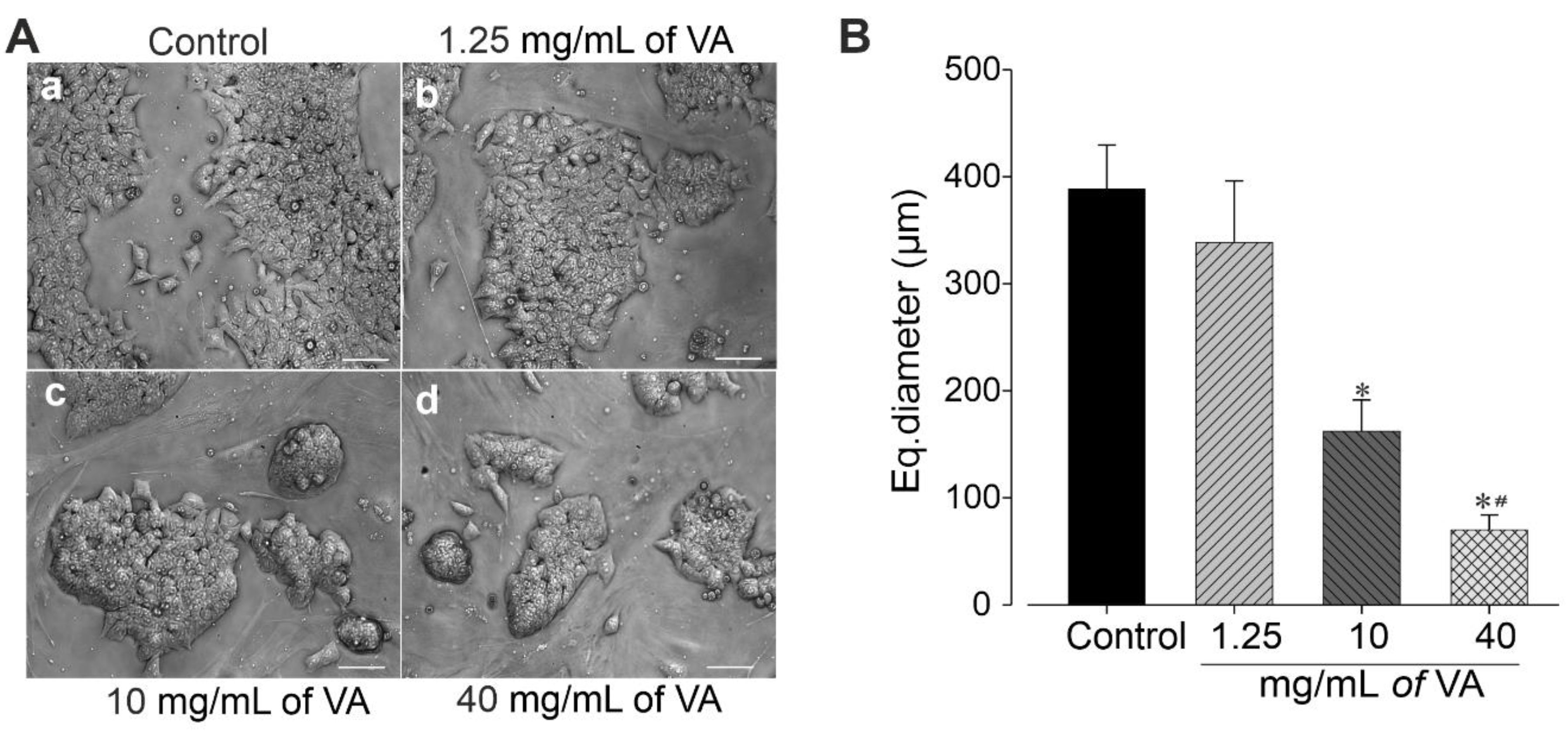 Plants 12 01108 g003