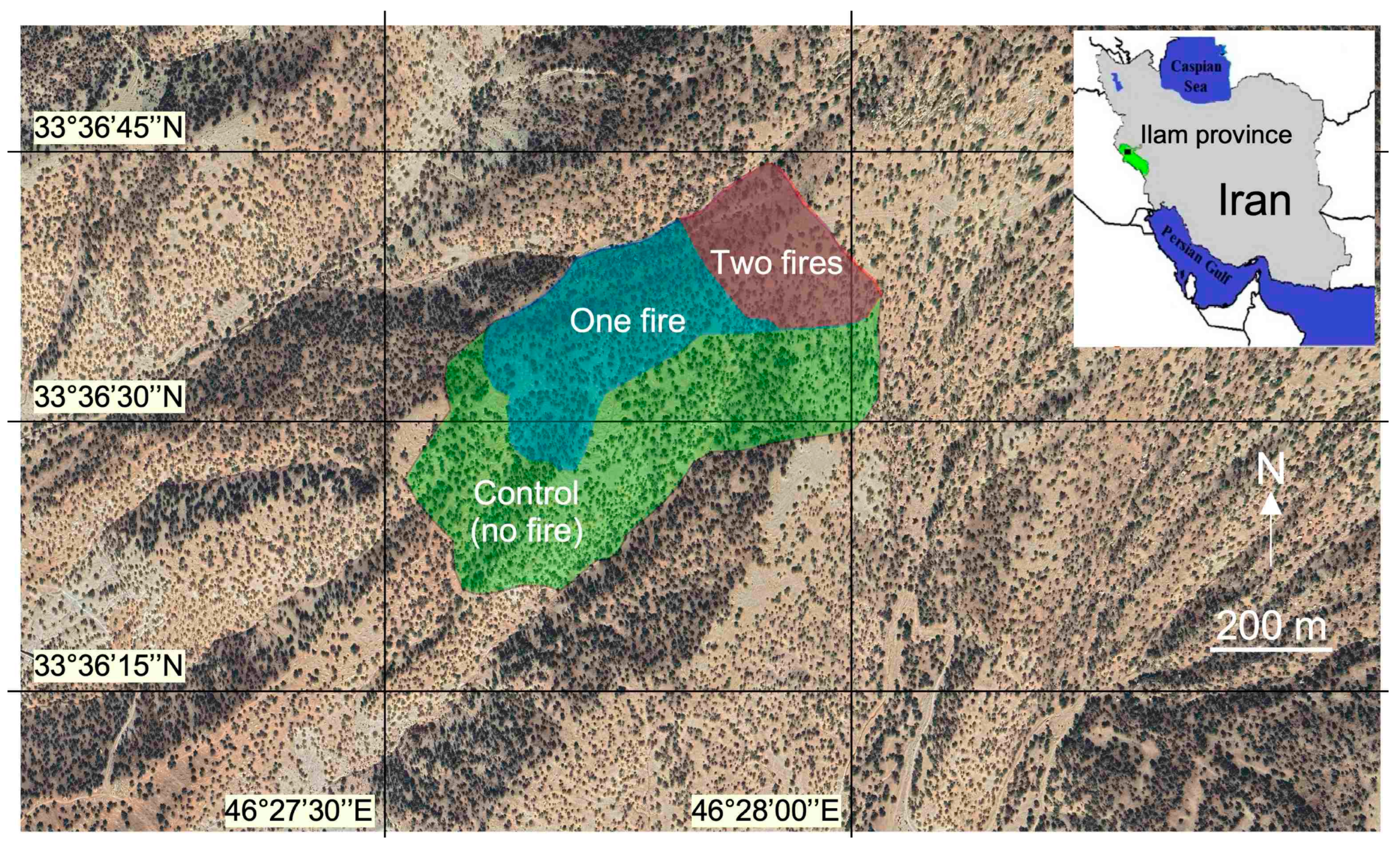 Plants 12 01112 g001