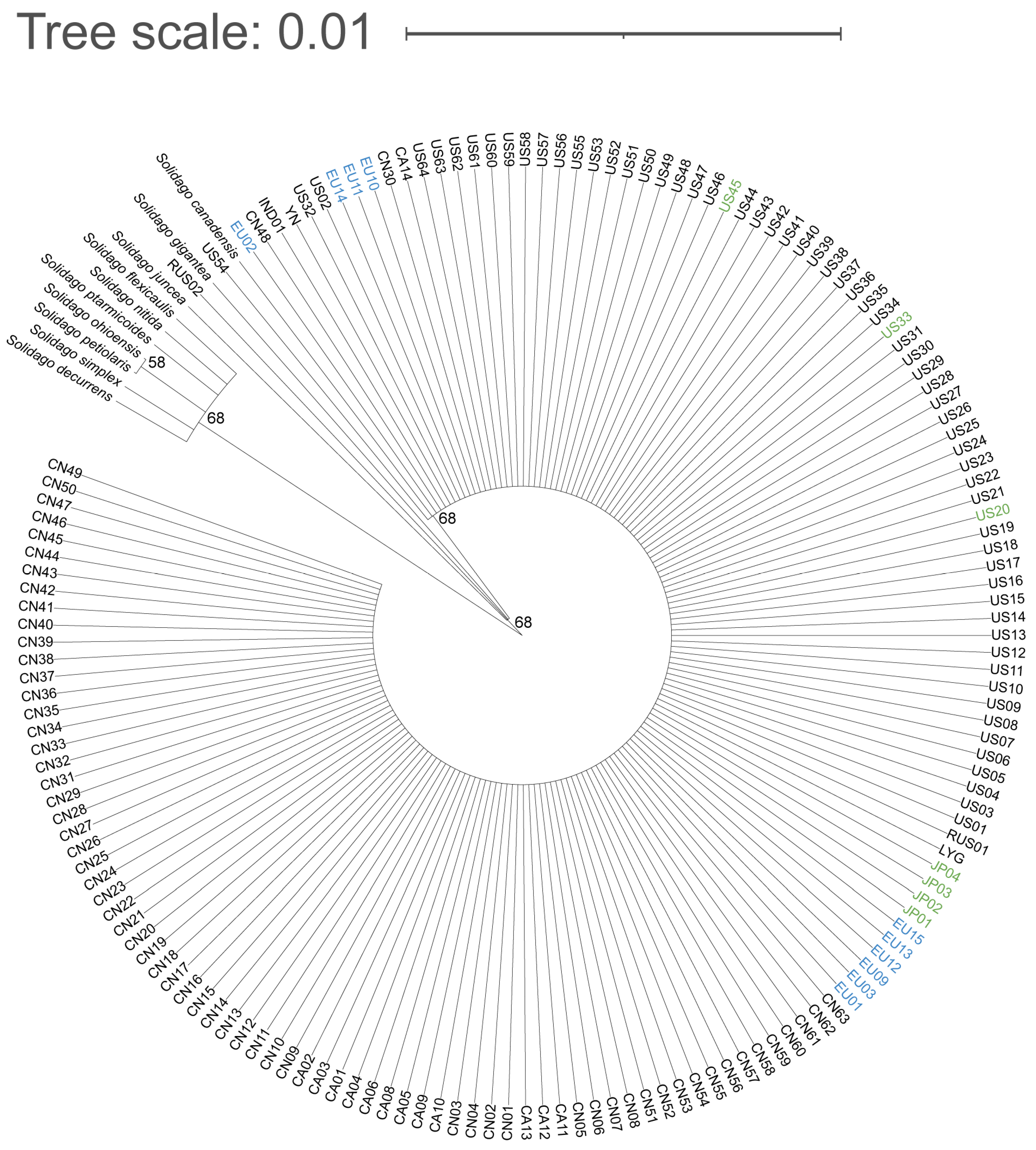 Plants 12 01113 g001