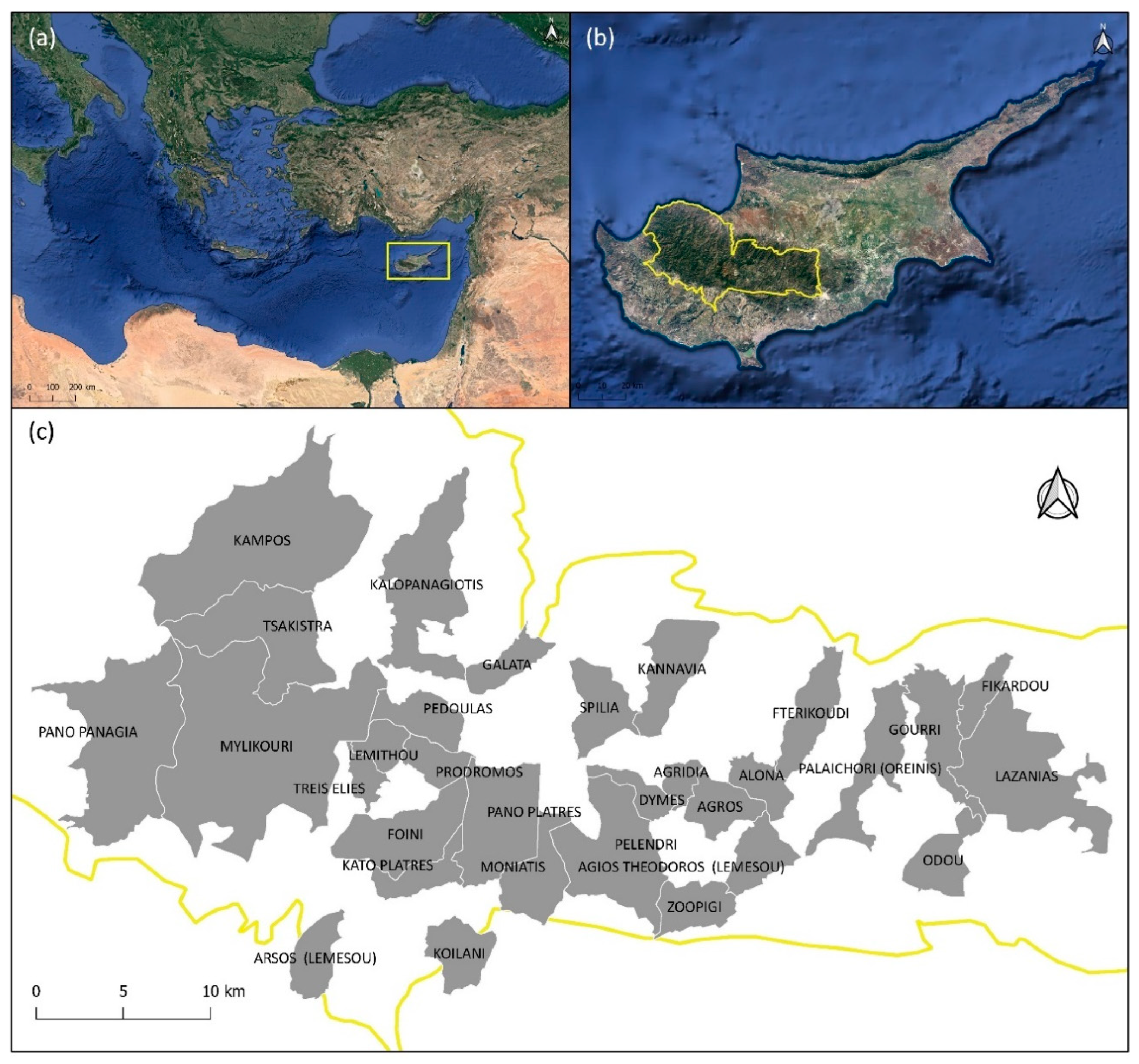 Plants 12 01119 g001