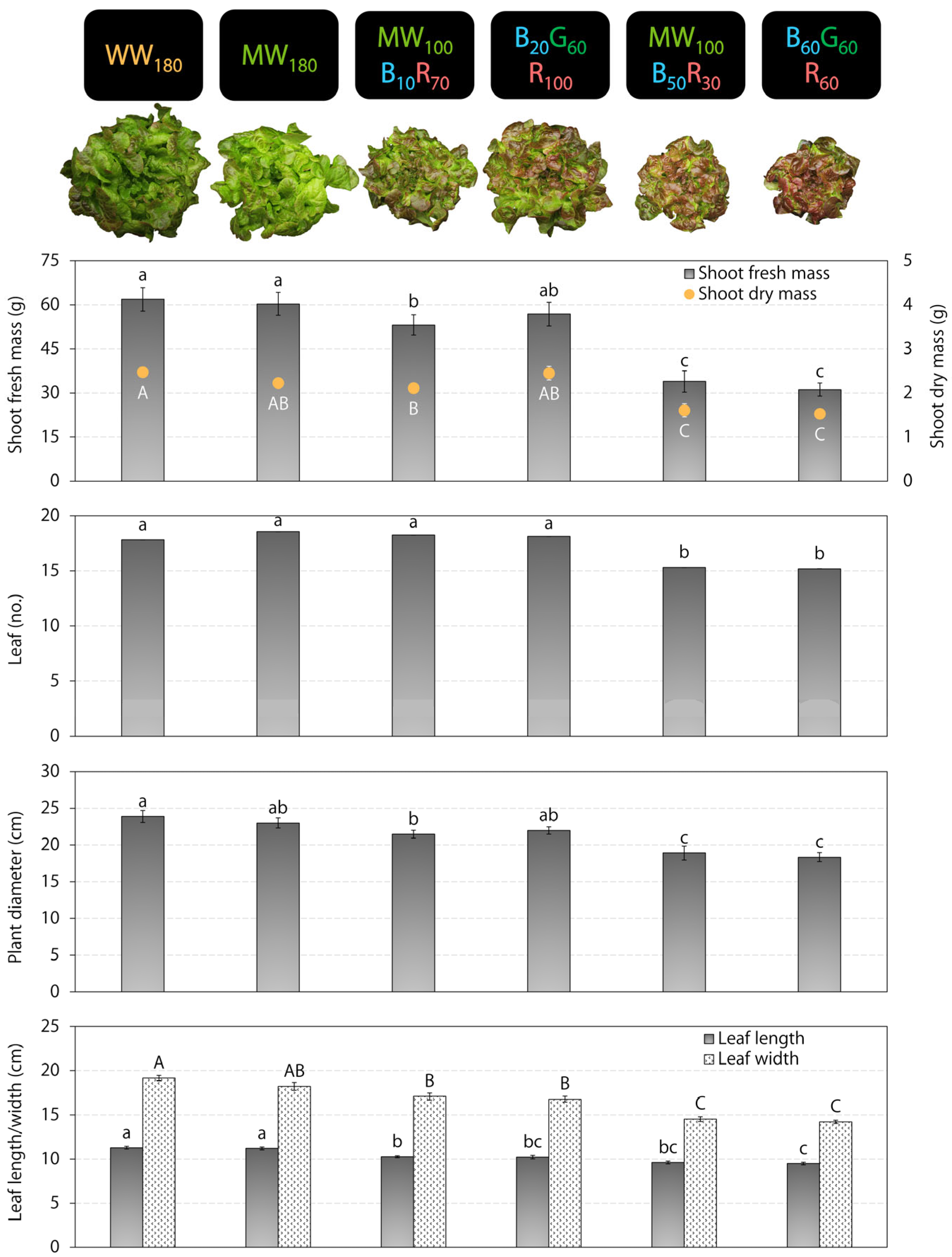 Plants 12 01127 g001 Plants 12 01127 g001