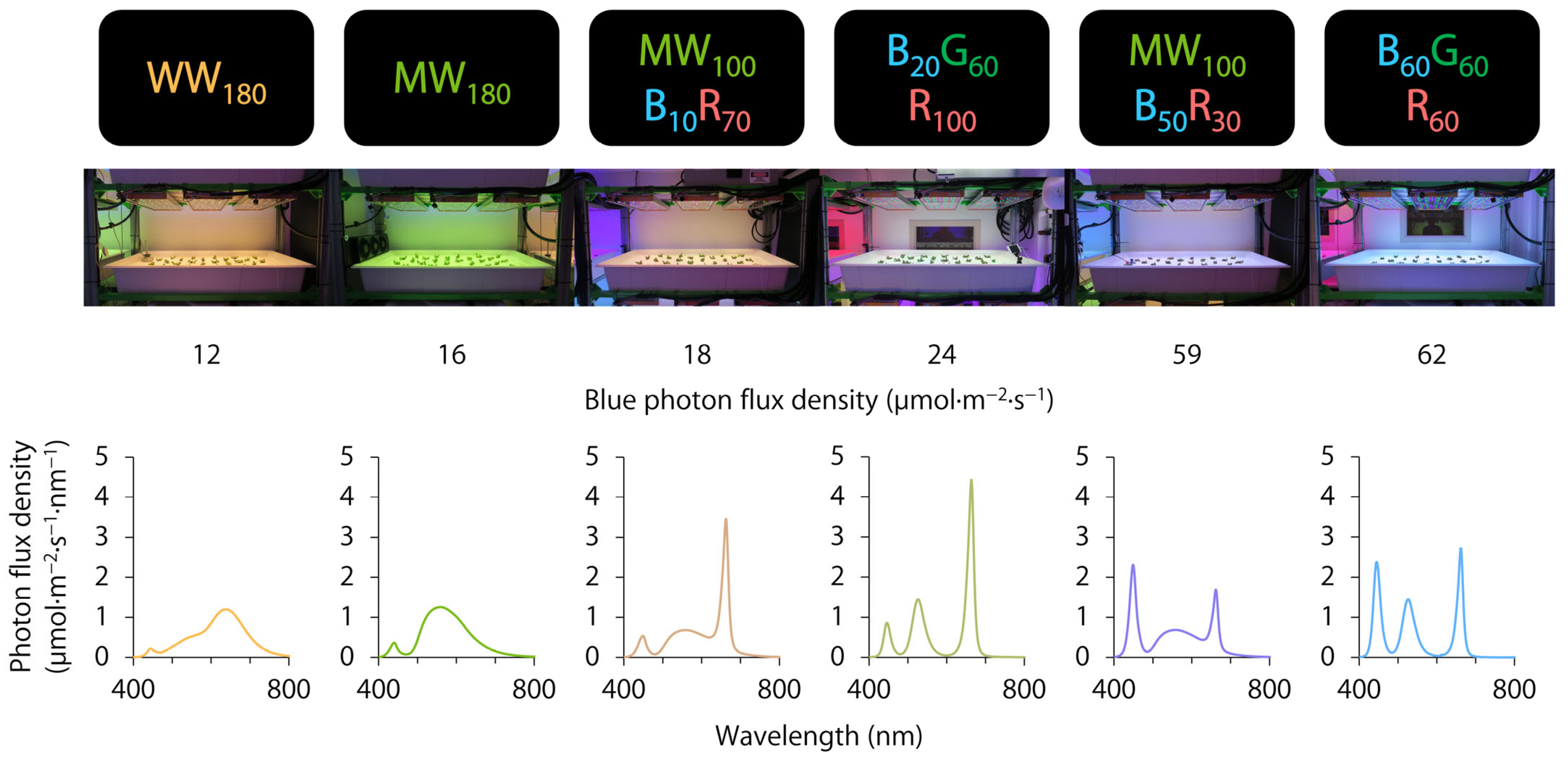 Plants 12 01127 g004 Plants 12 01127 g004