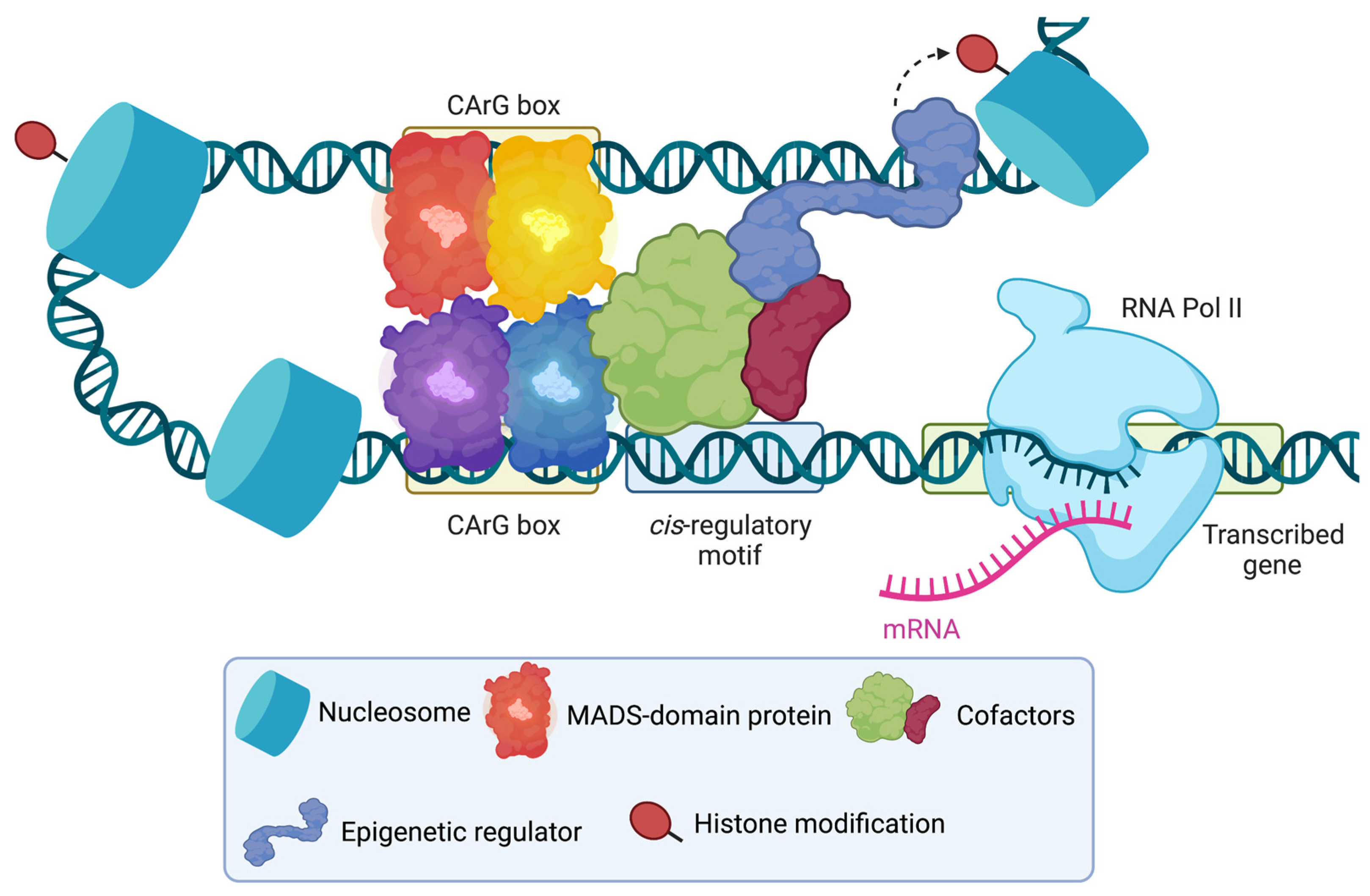 Plants 12 01128 g002