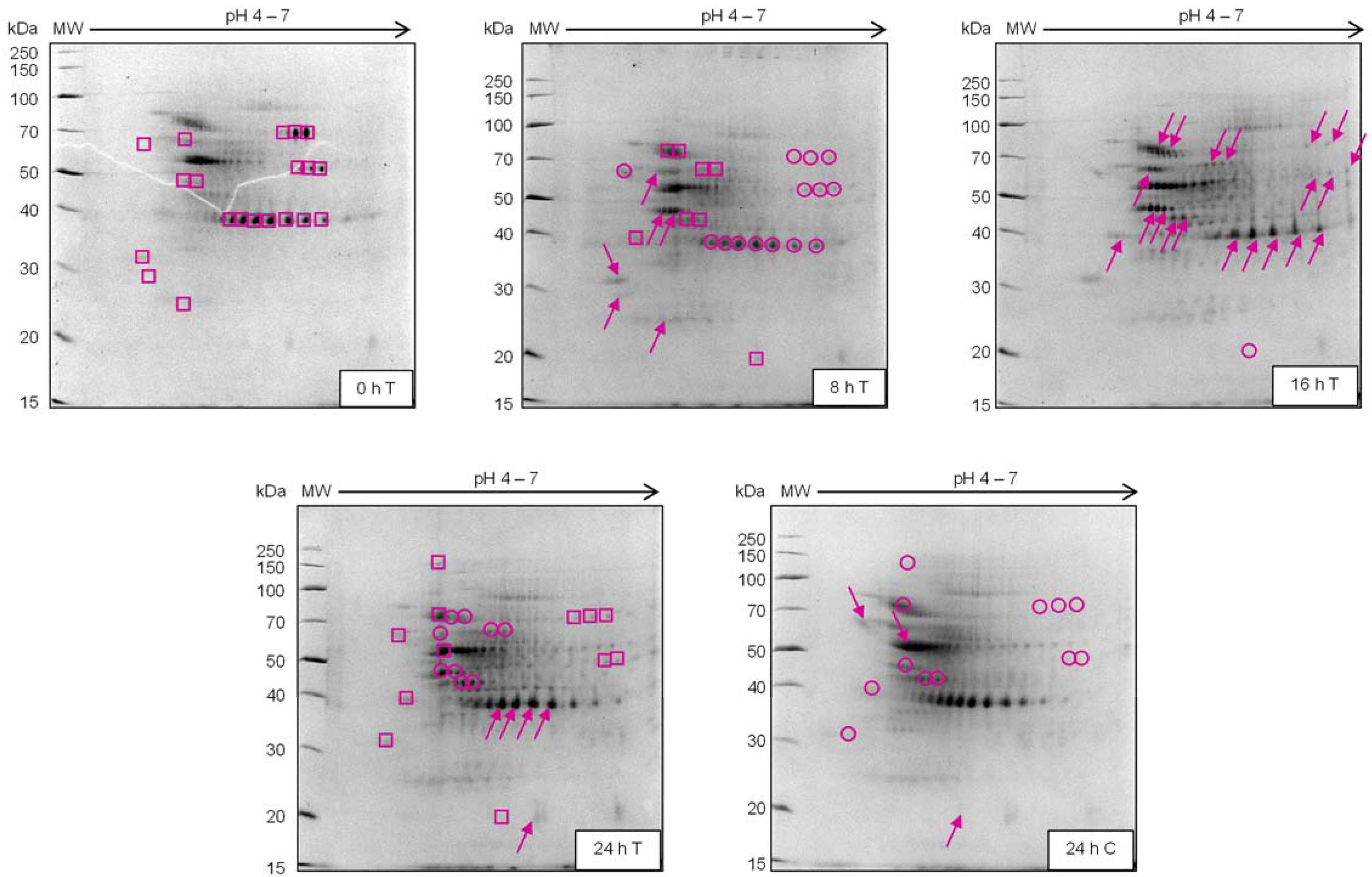 Plants 12 01137 g001 Plants 12 01137 g001