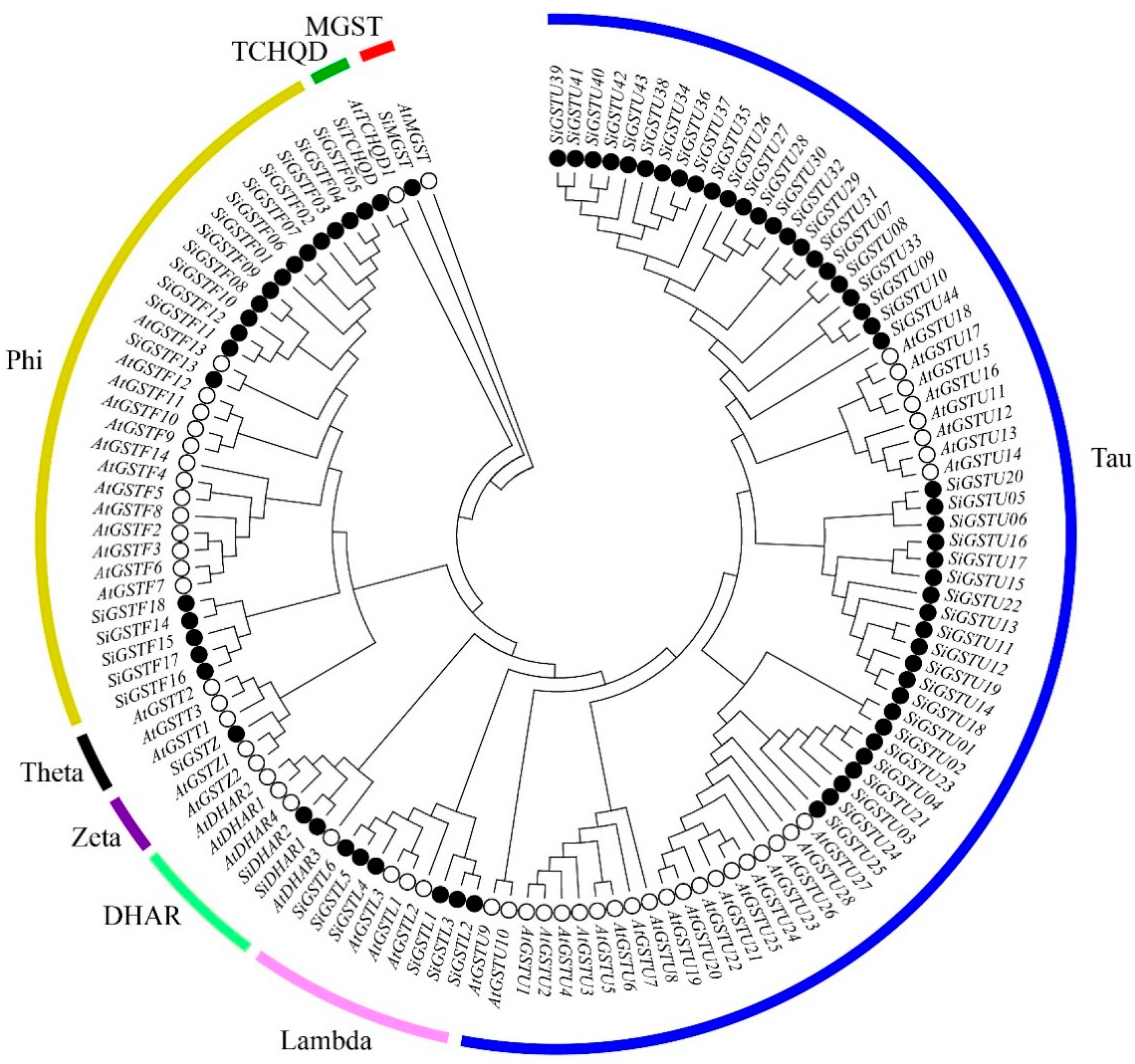 Plants 12 01138 g001