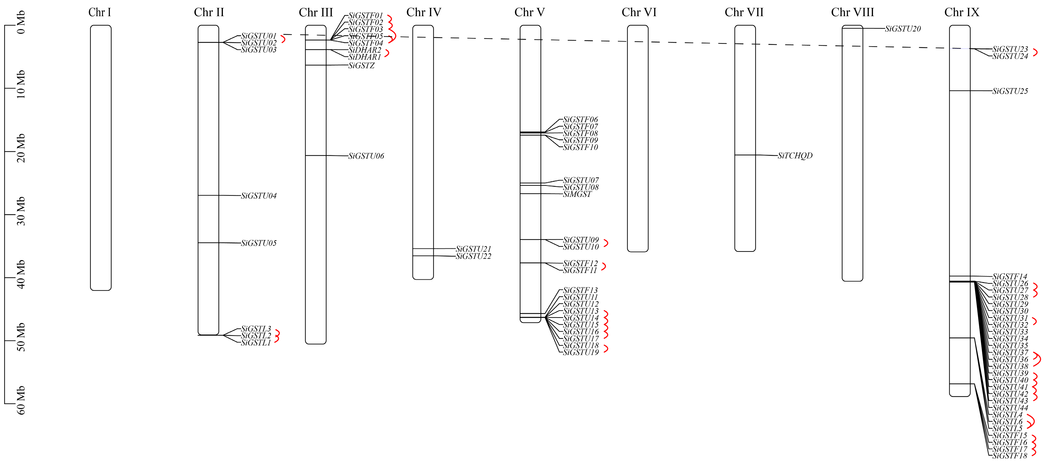 Plants 12 01138 g002
