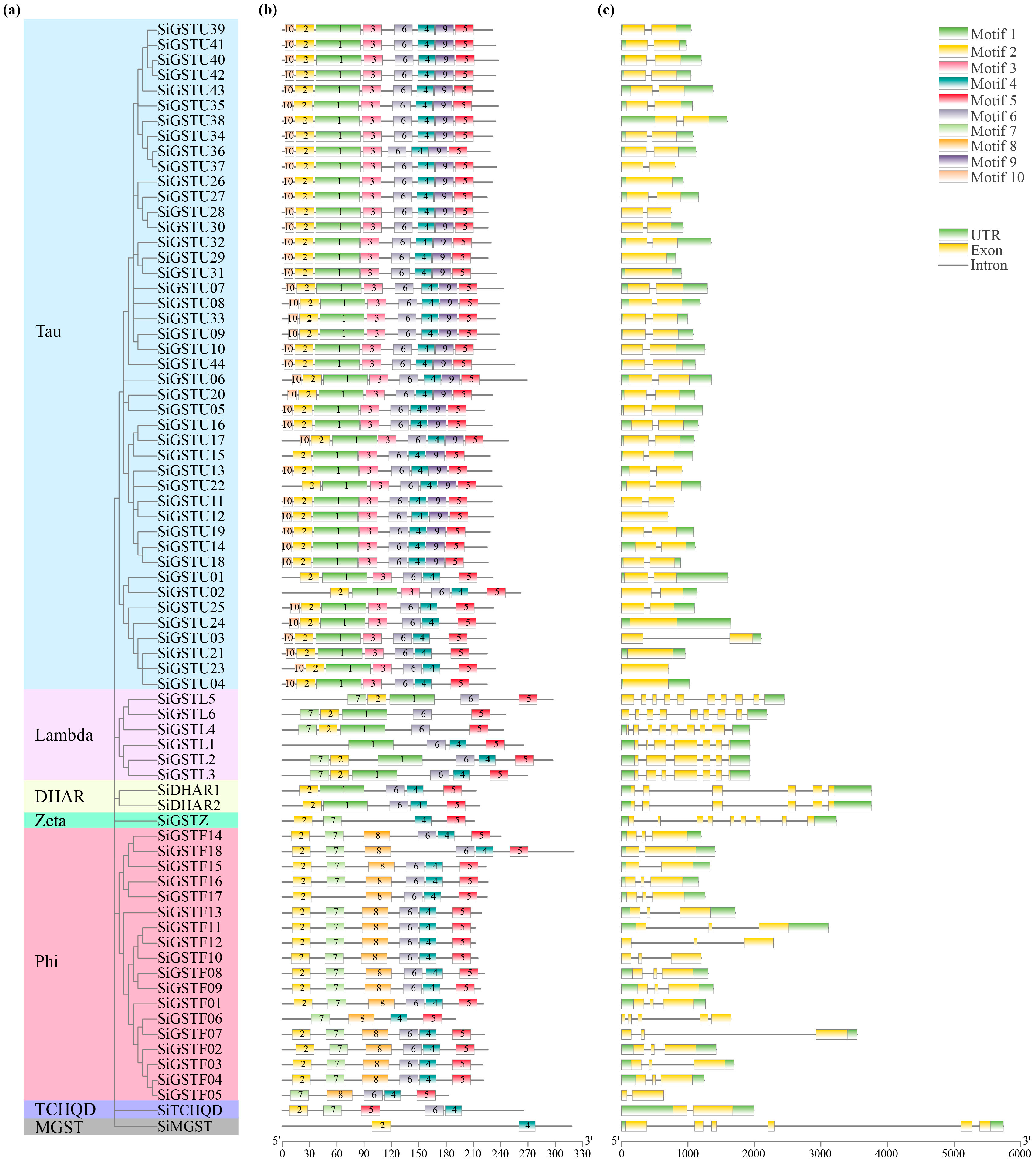 Plants 12 01138 g003