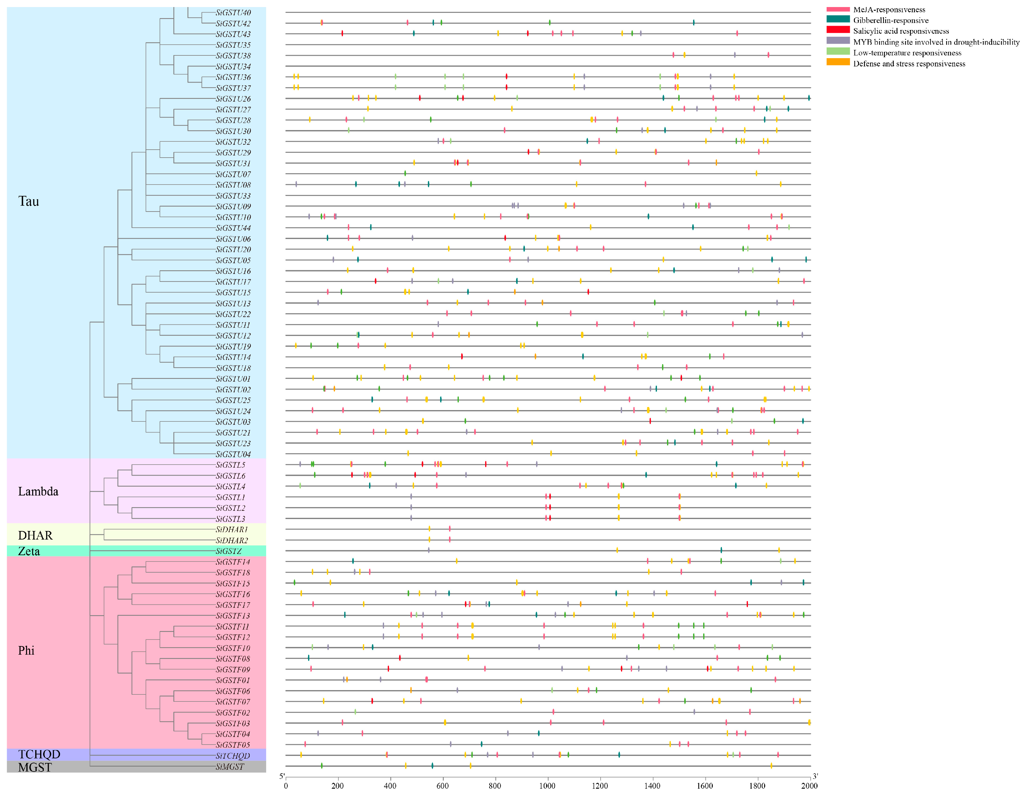 Plants 12 01138 g004