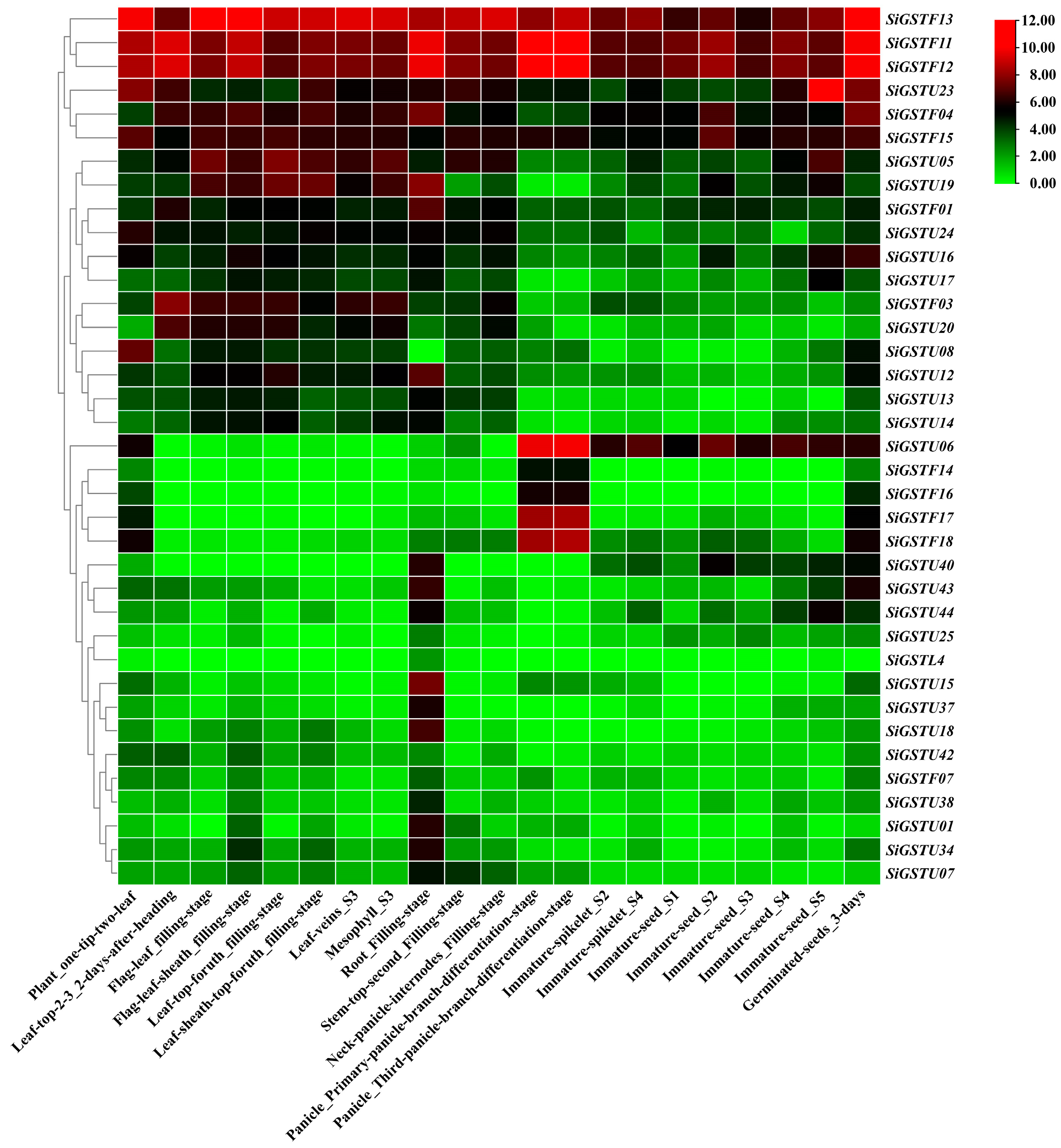 Plants 12 01138 g005