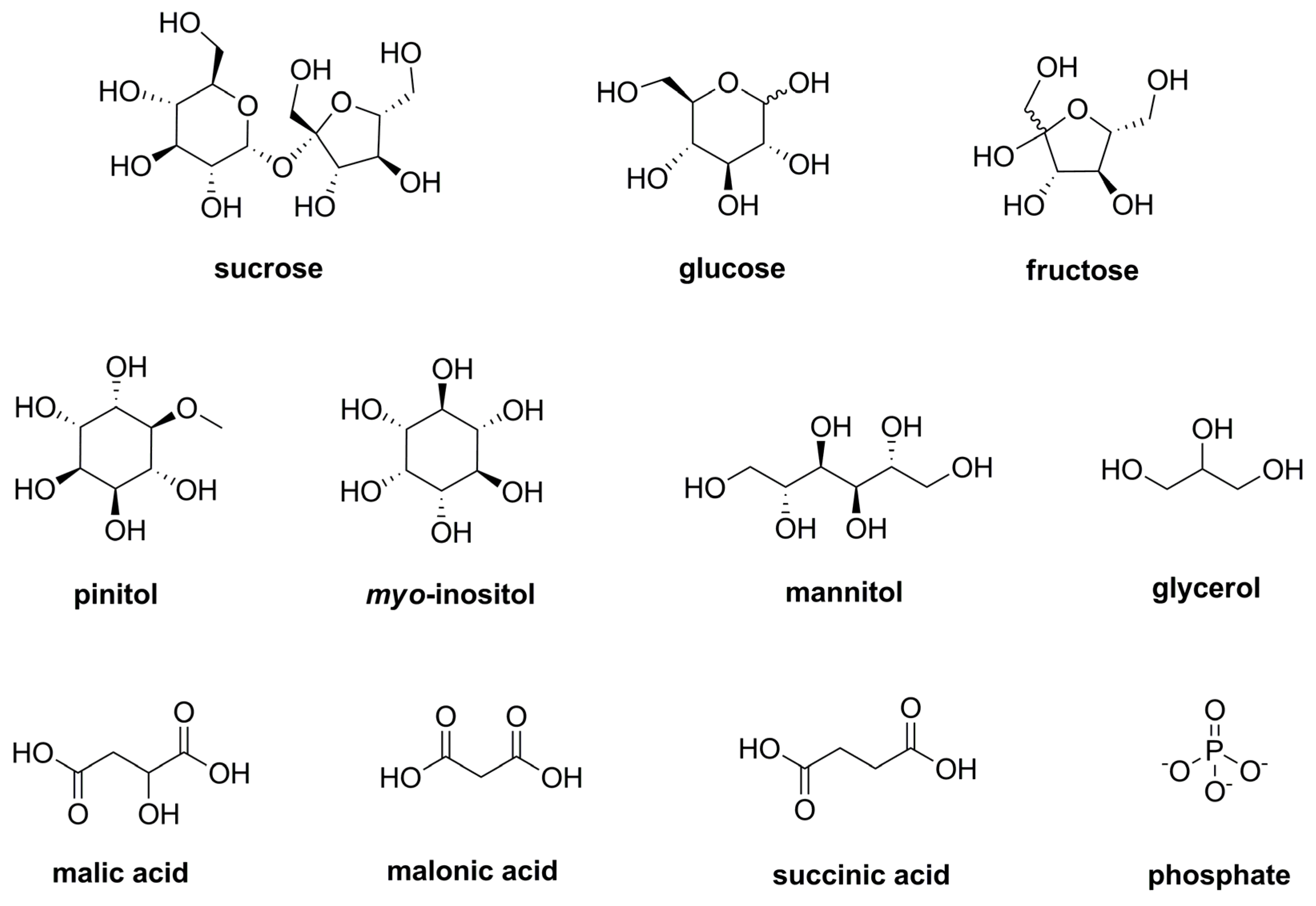 Plants 12 01154 g001