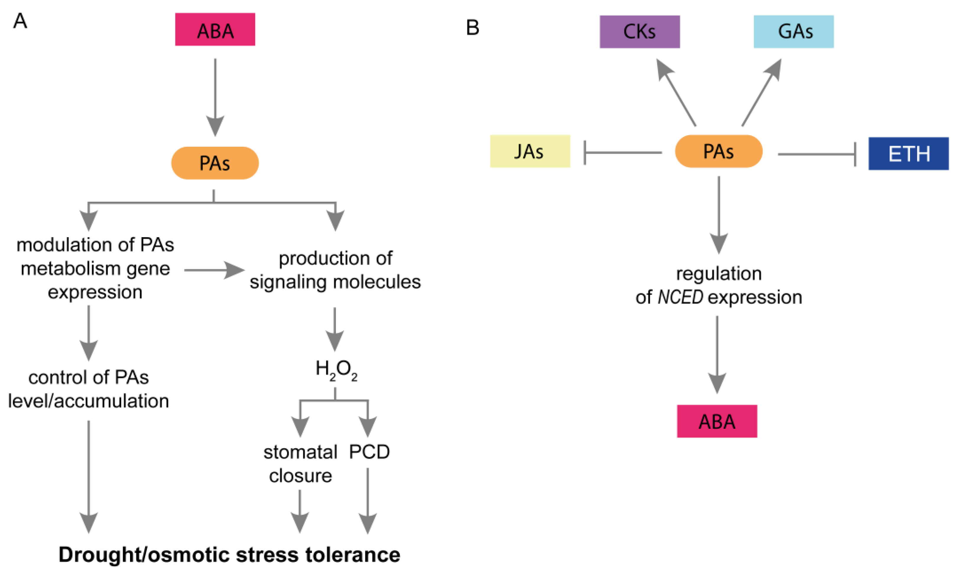 Plants 12 01159 g003 Plants 12 01159 g003