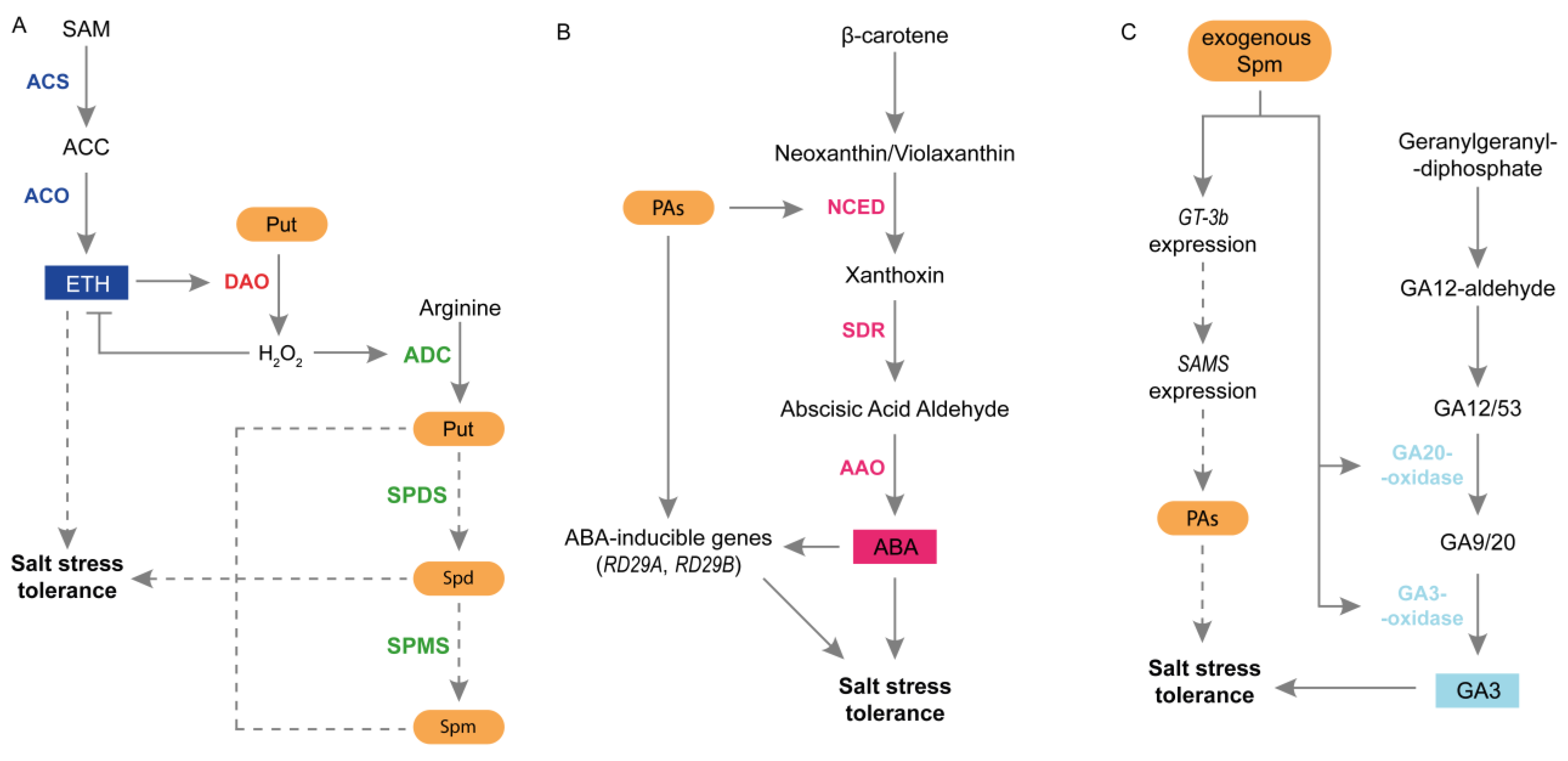 Plants 12 01159 g004 Plants 12 01159 g004