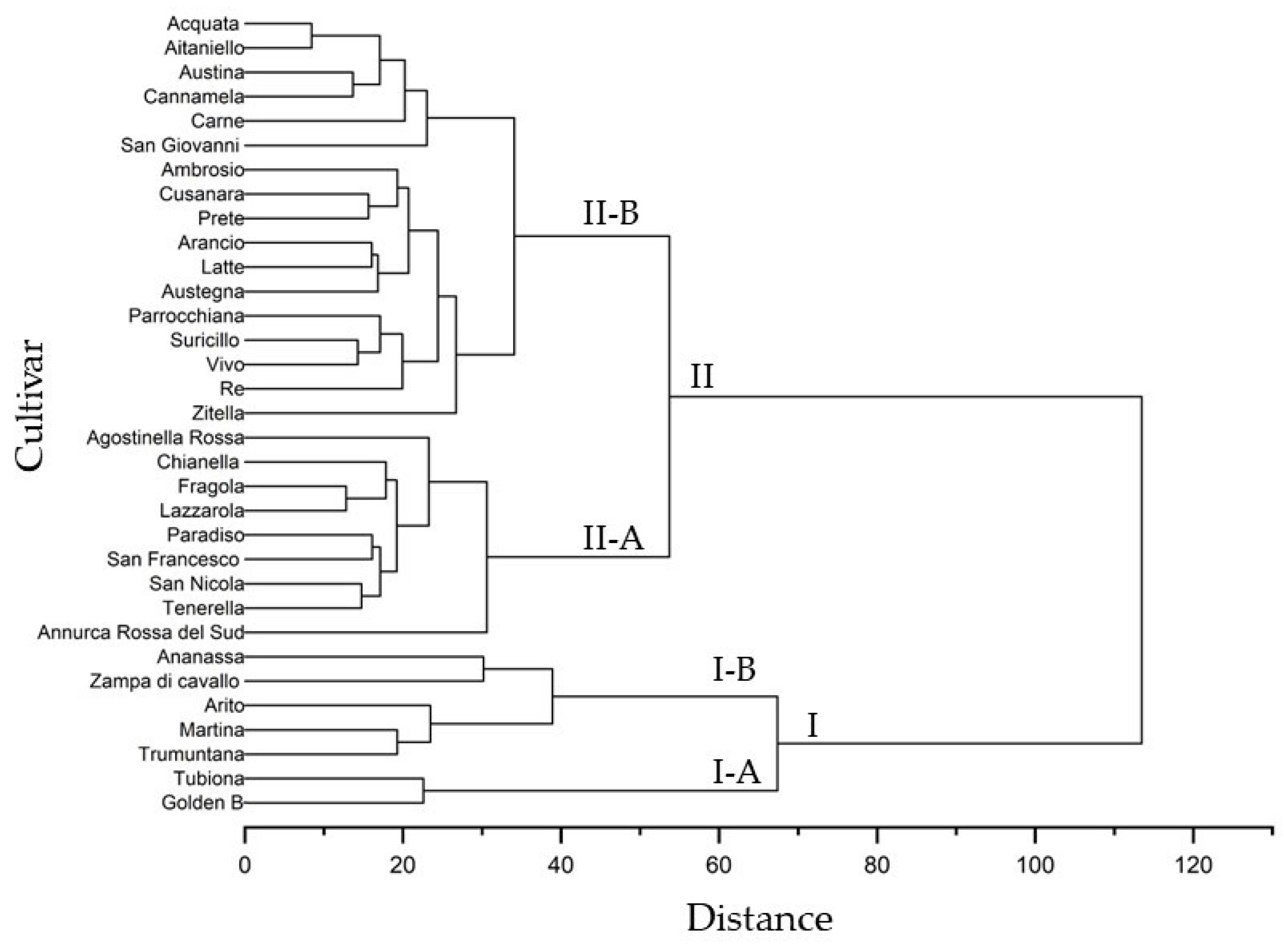 Plants 12 01160 g004