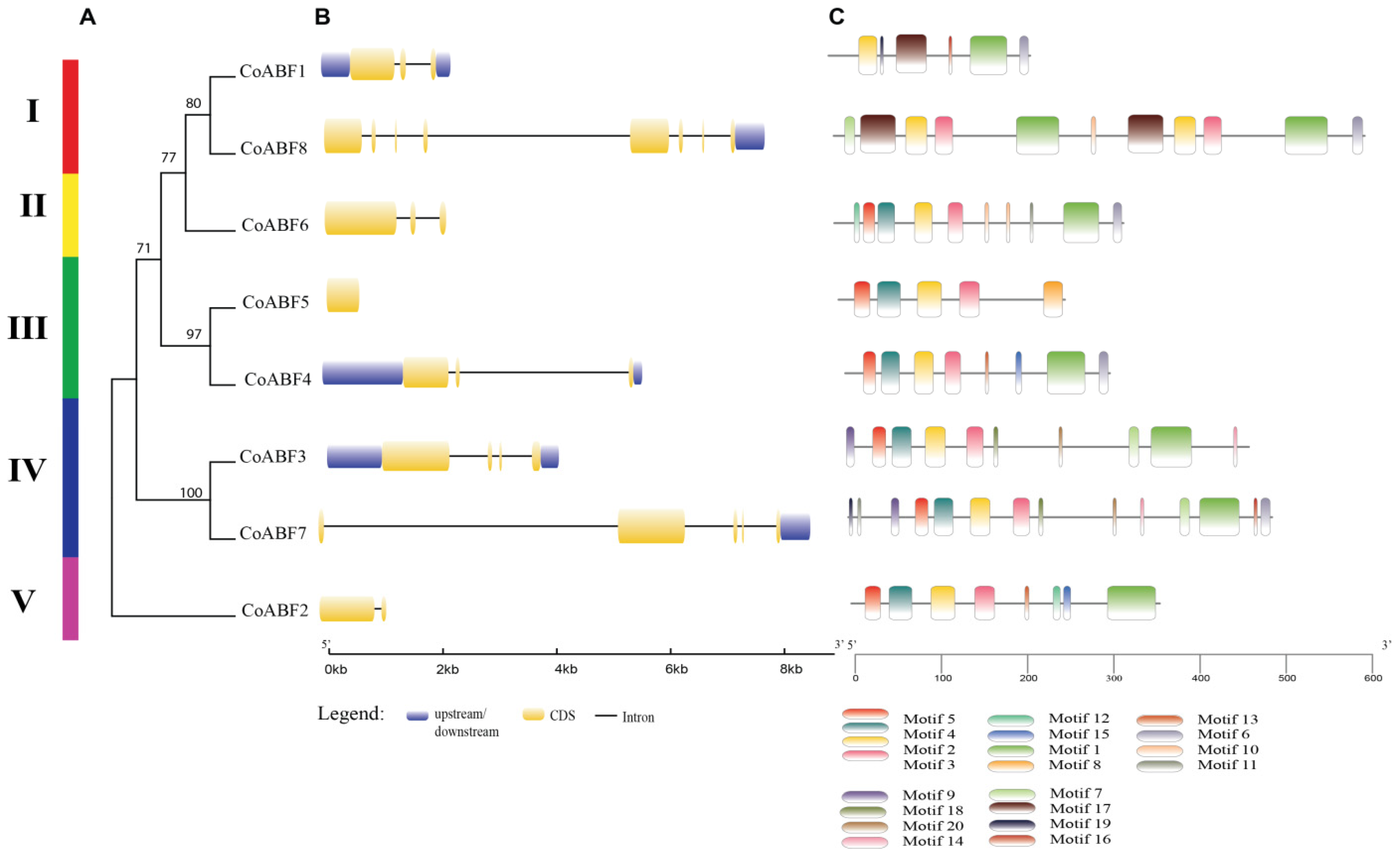 Plants 12 01161 g002