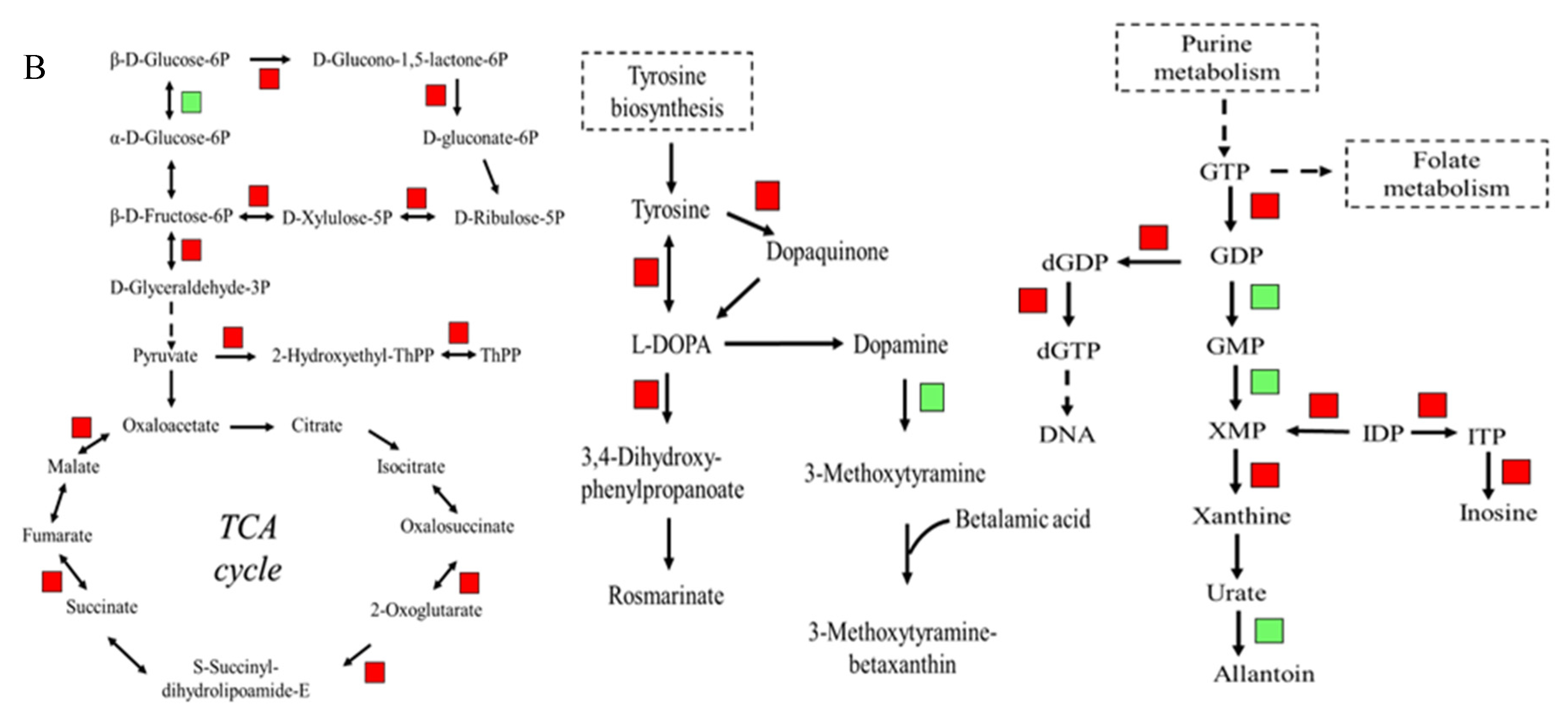 Plants 12 01163 g008b