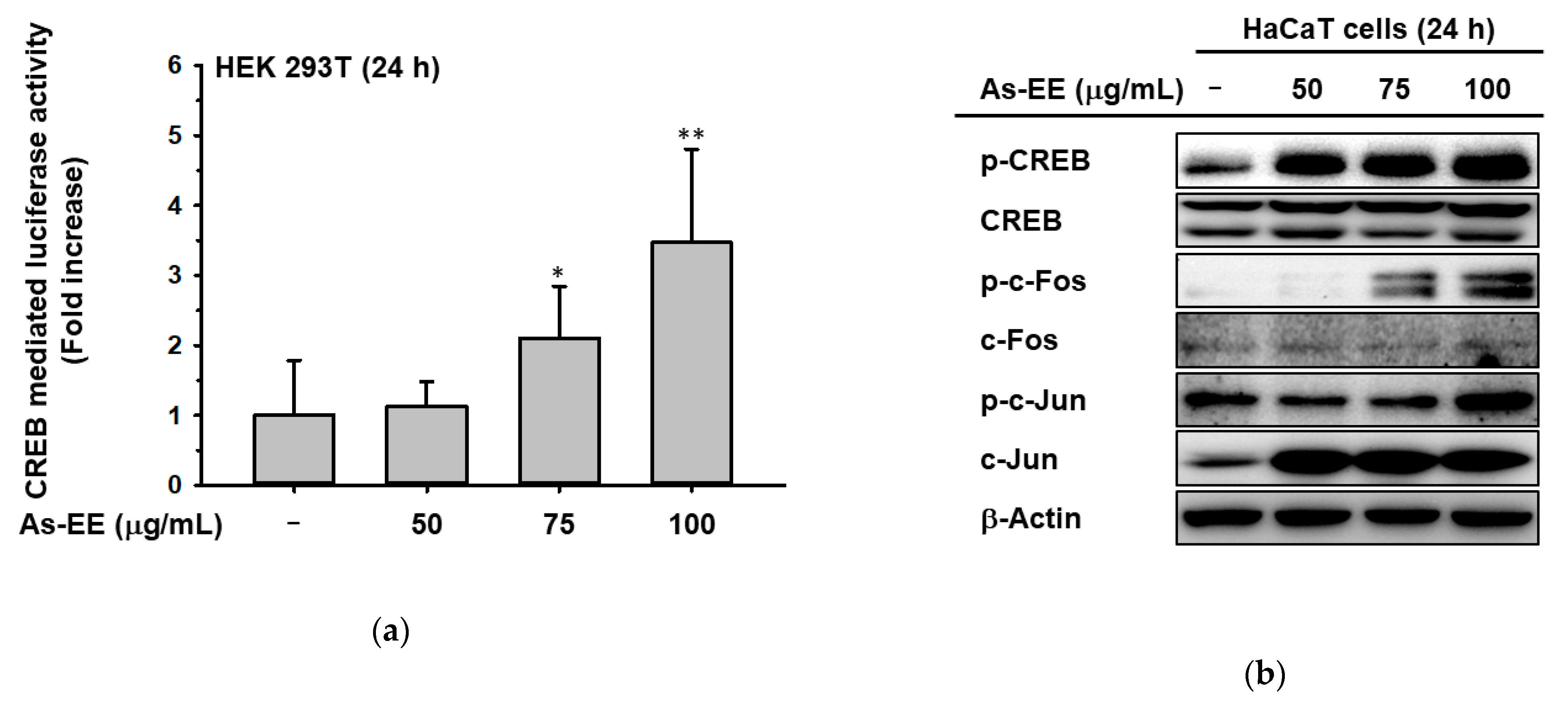 Plants 12 01167 g003a