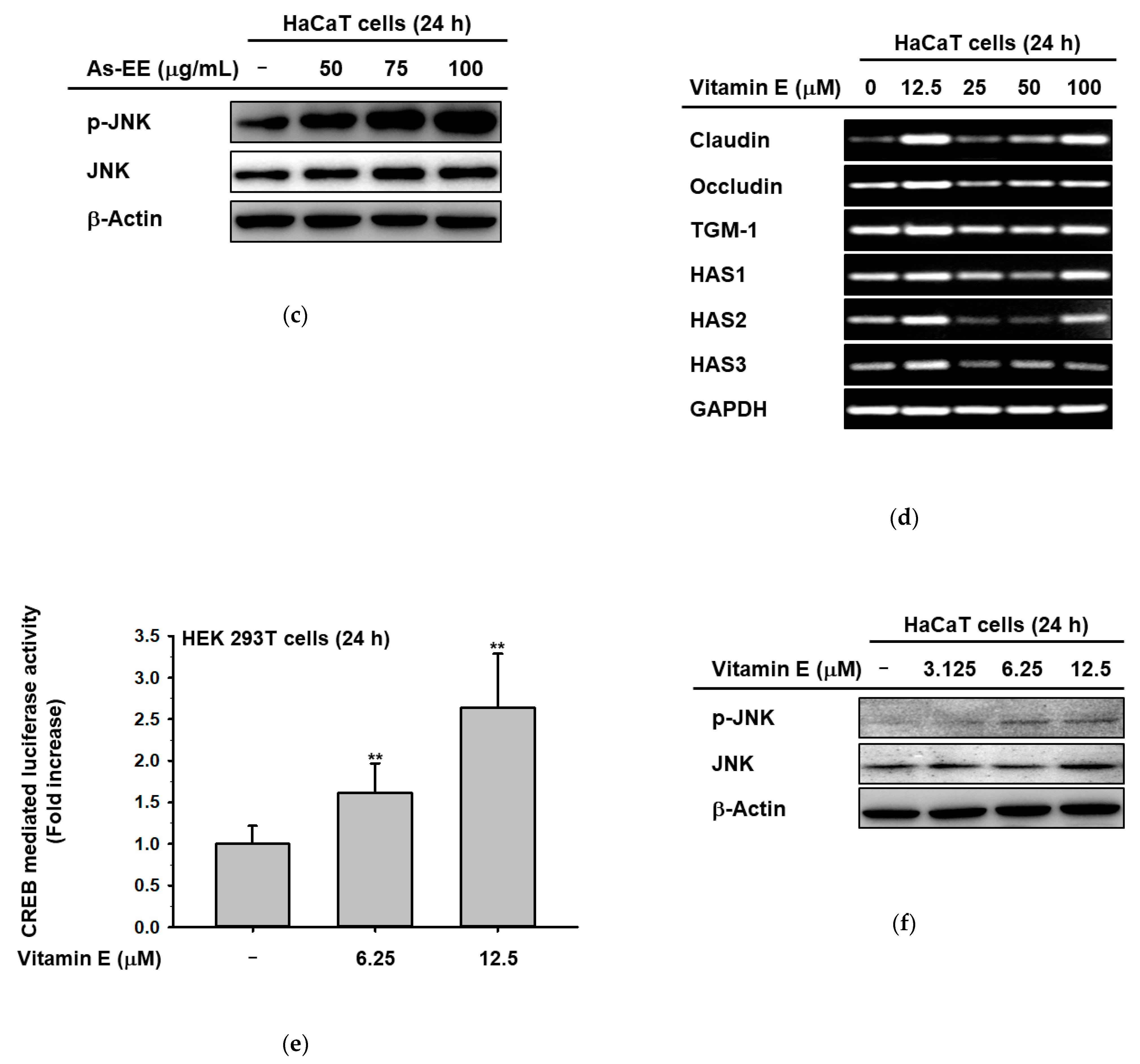 Plants 12 01167 g003b