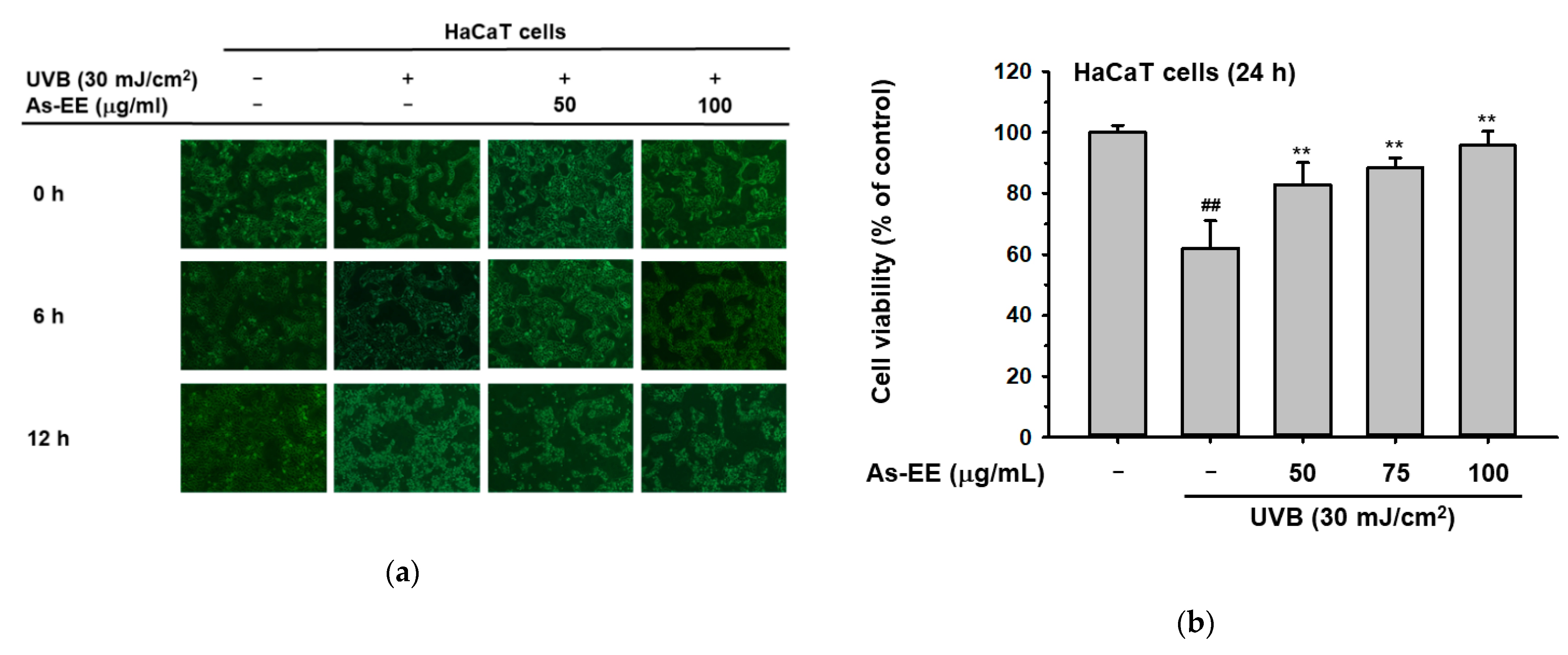 Plants 12 01167 g004a