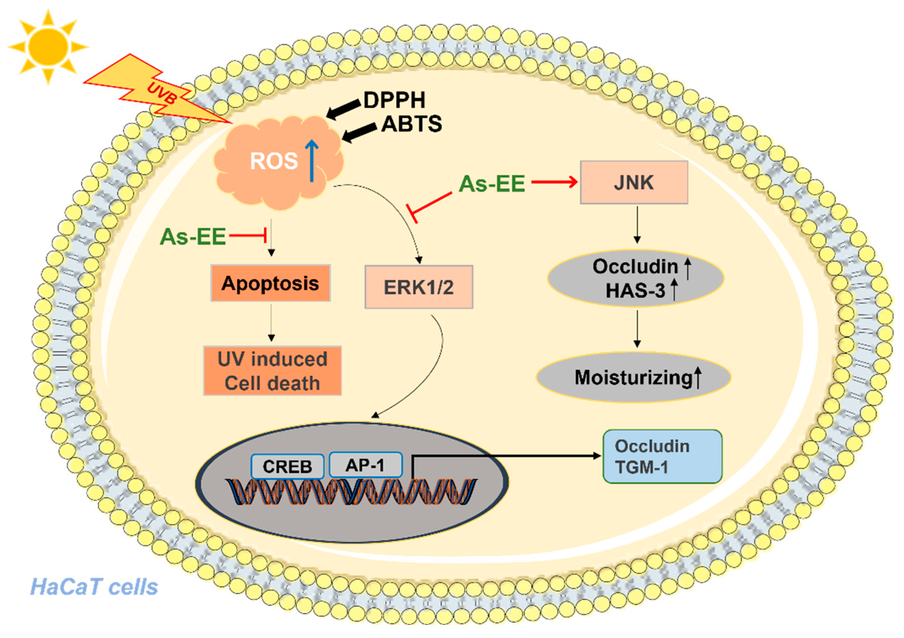 Plants 12 01167 g005