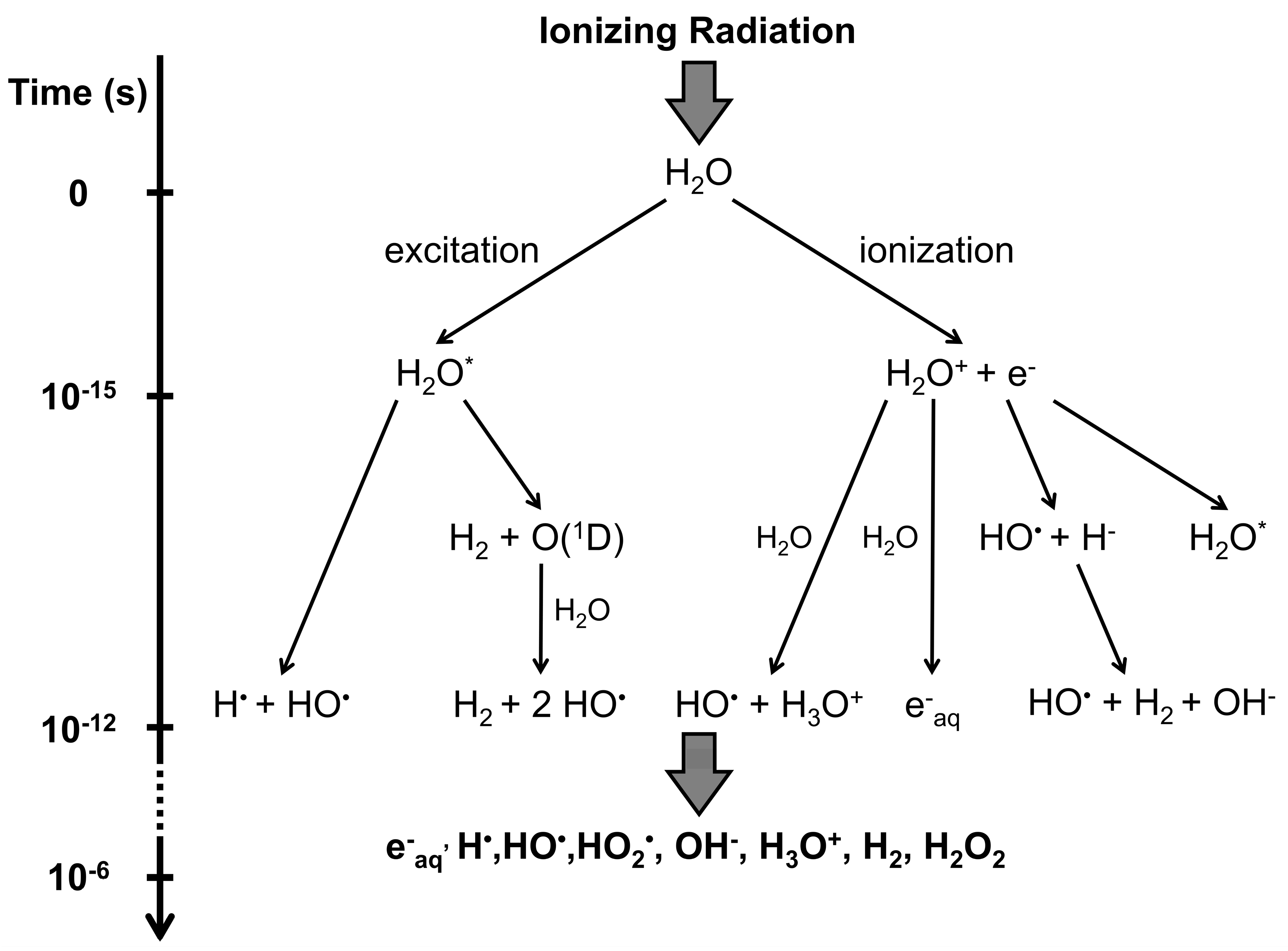 Plants 12 01178 g002