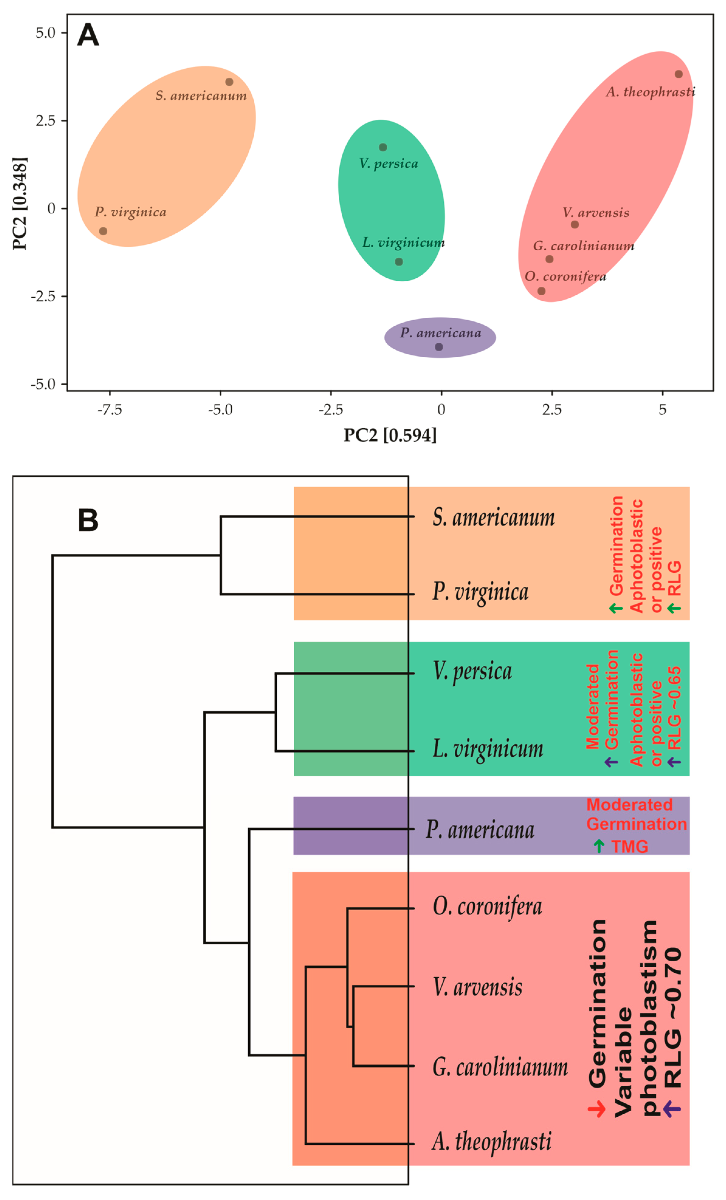 Plants 12 01192 g003 Plants 12 01192 g003