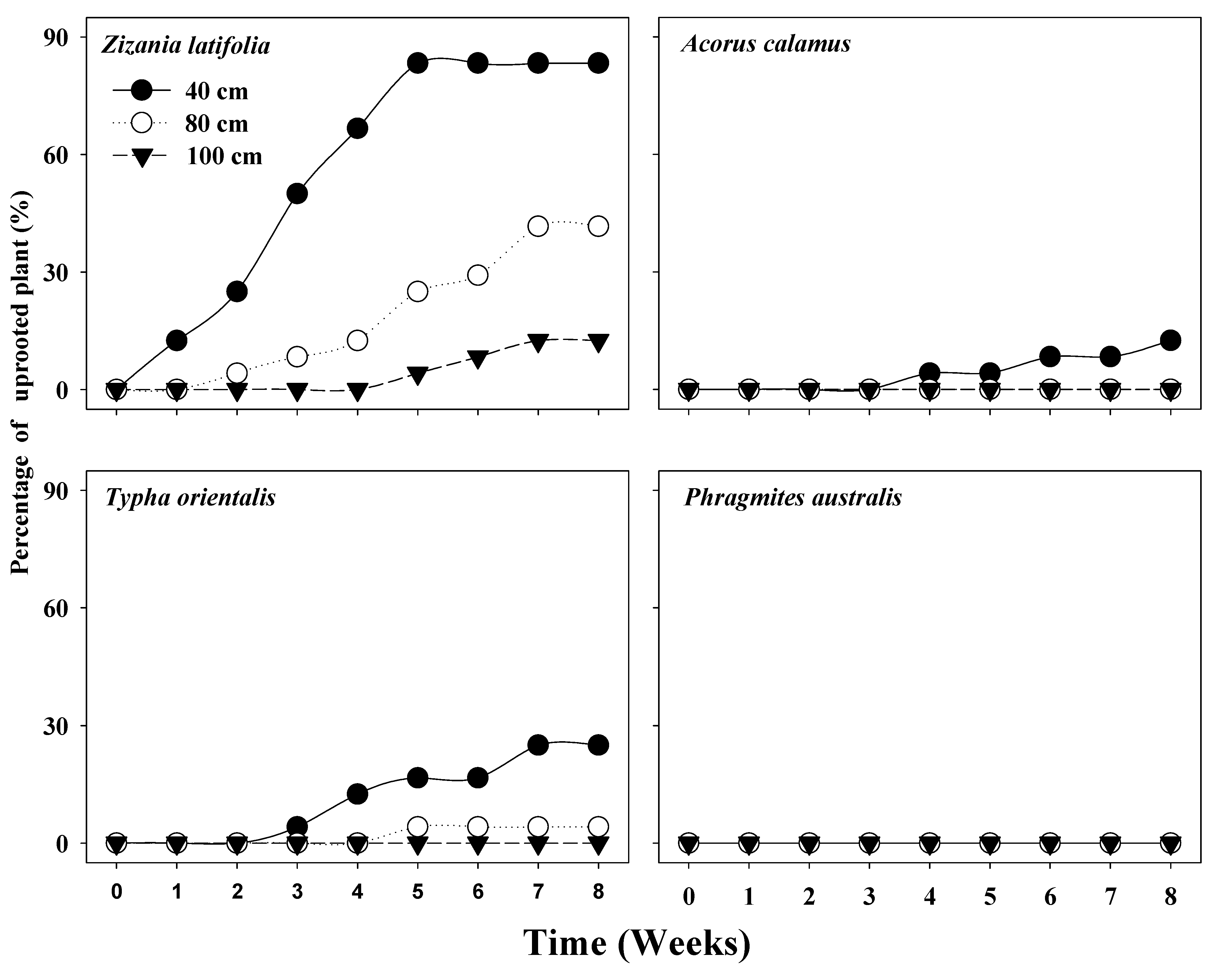 Plants 12 01193 g003 Plants 12 01193 g003