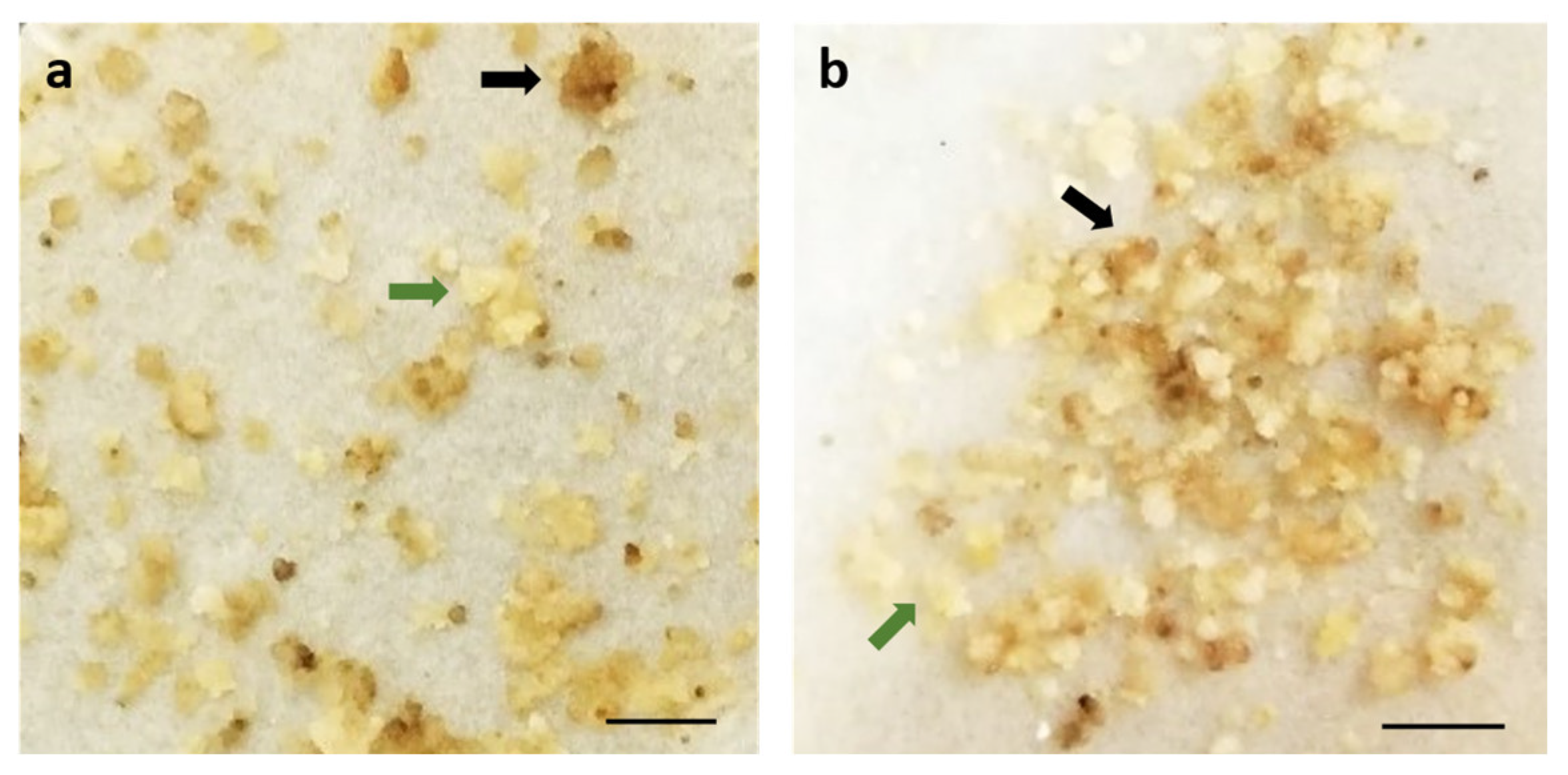 Plants 12 01202 g002