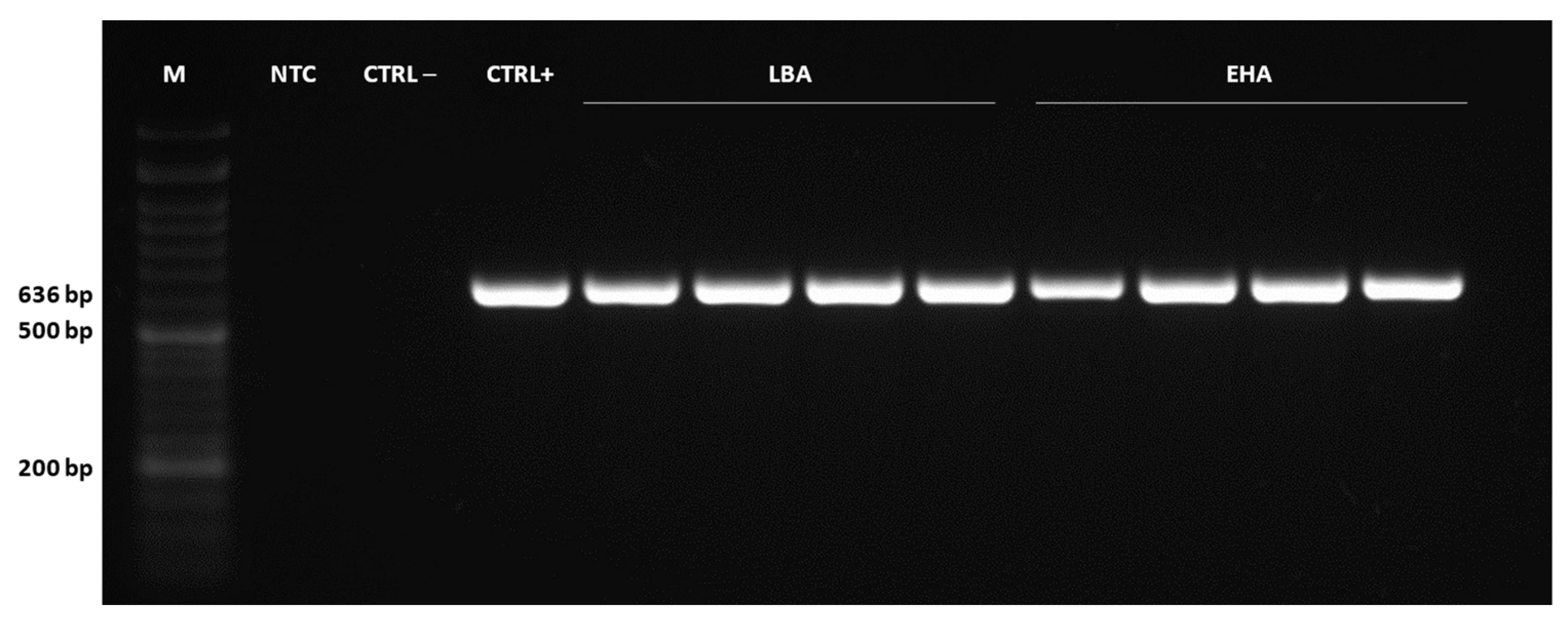 Plants 12 01202 g005