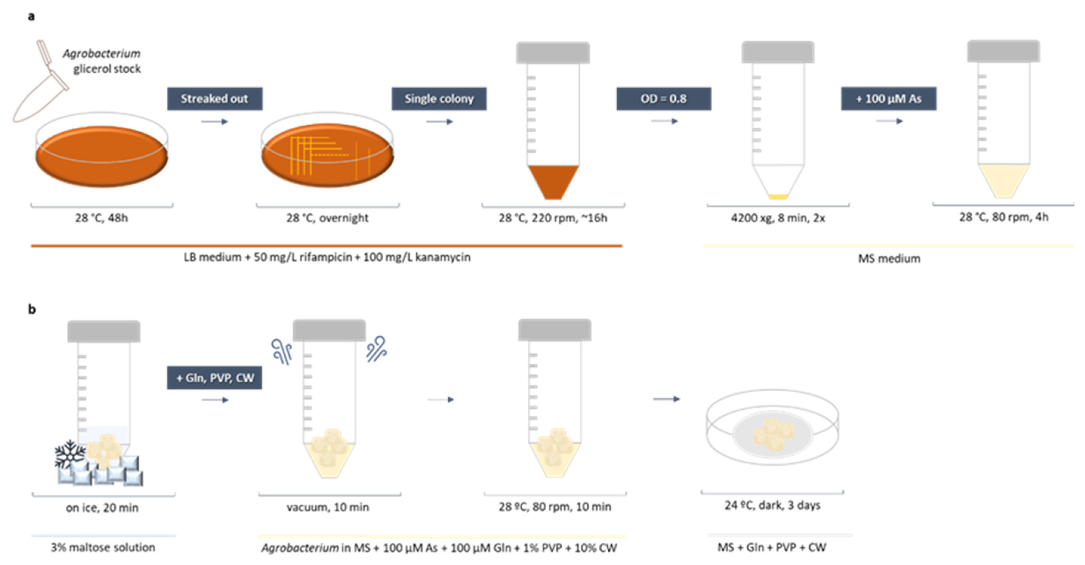 Plants 12 01202 g007