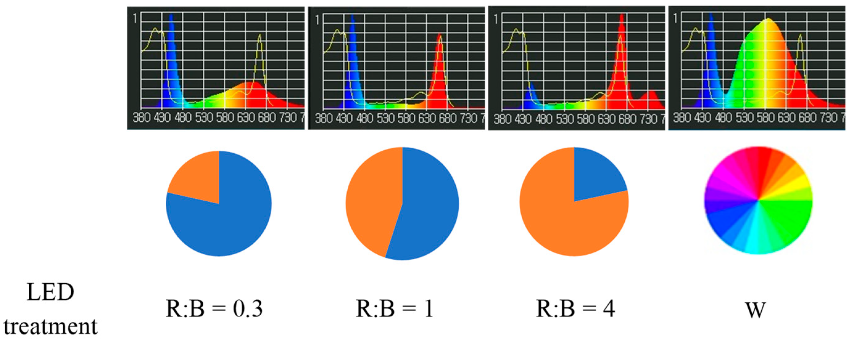 Plants 12 01203 g001