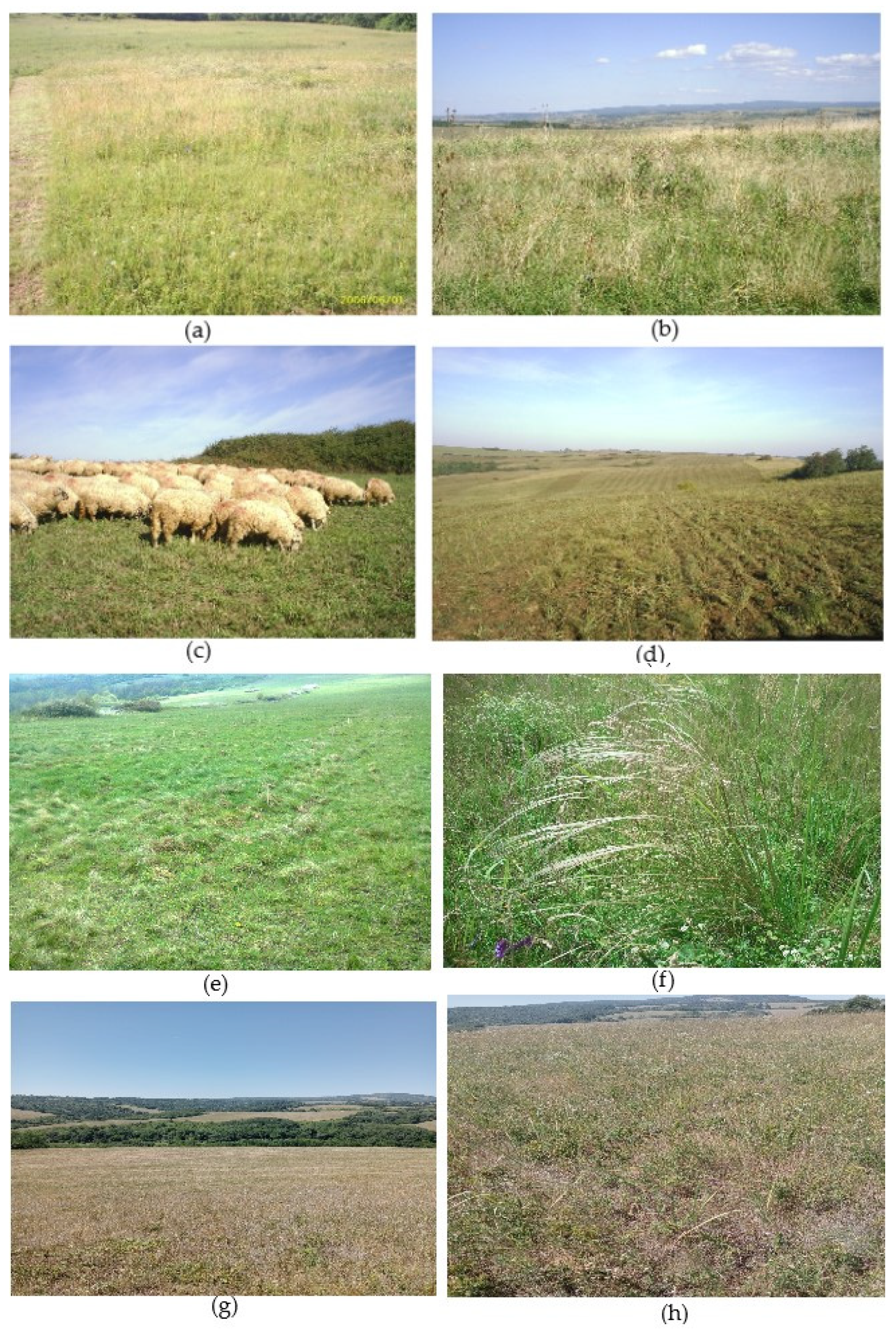 Plants 12 01204 g011 Plants 12 01204 g011