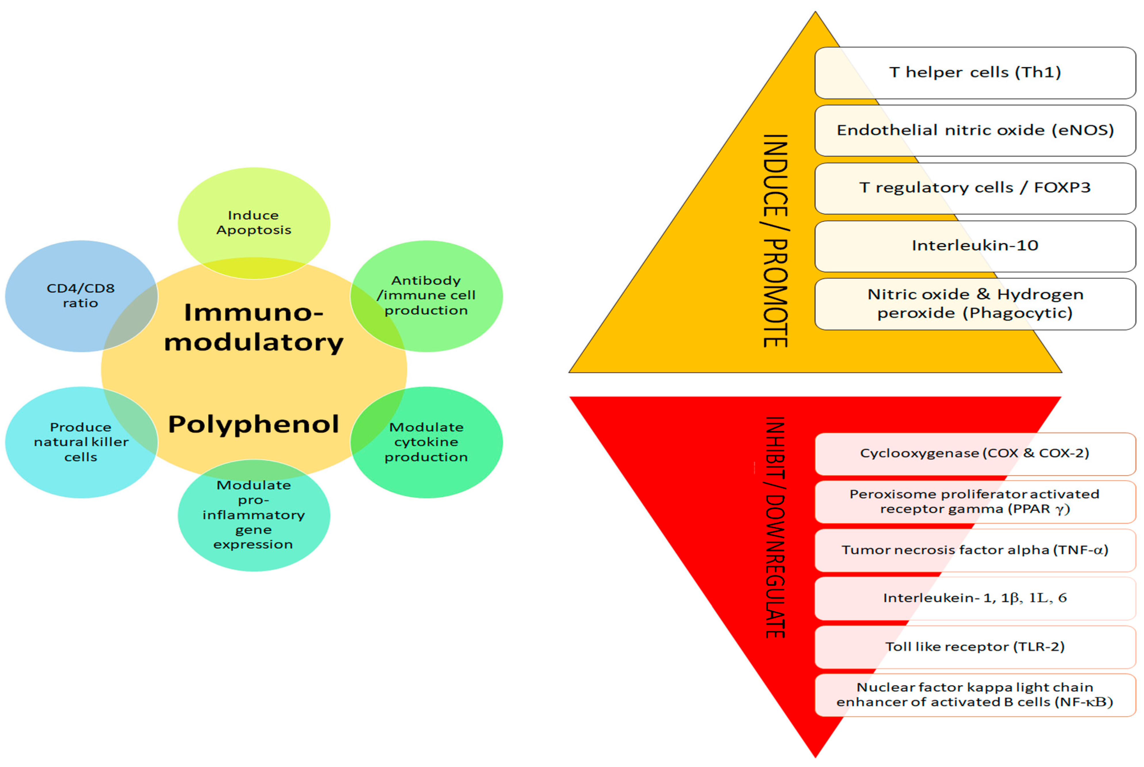 Plants 12 01217 g003
