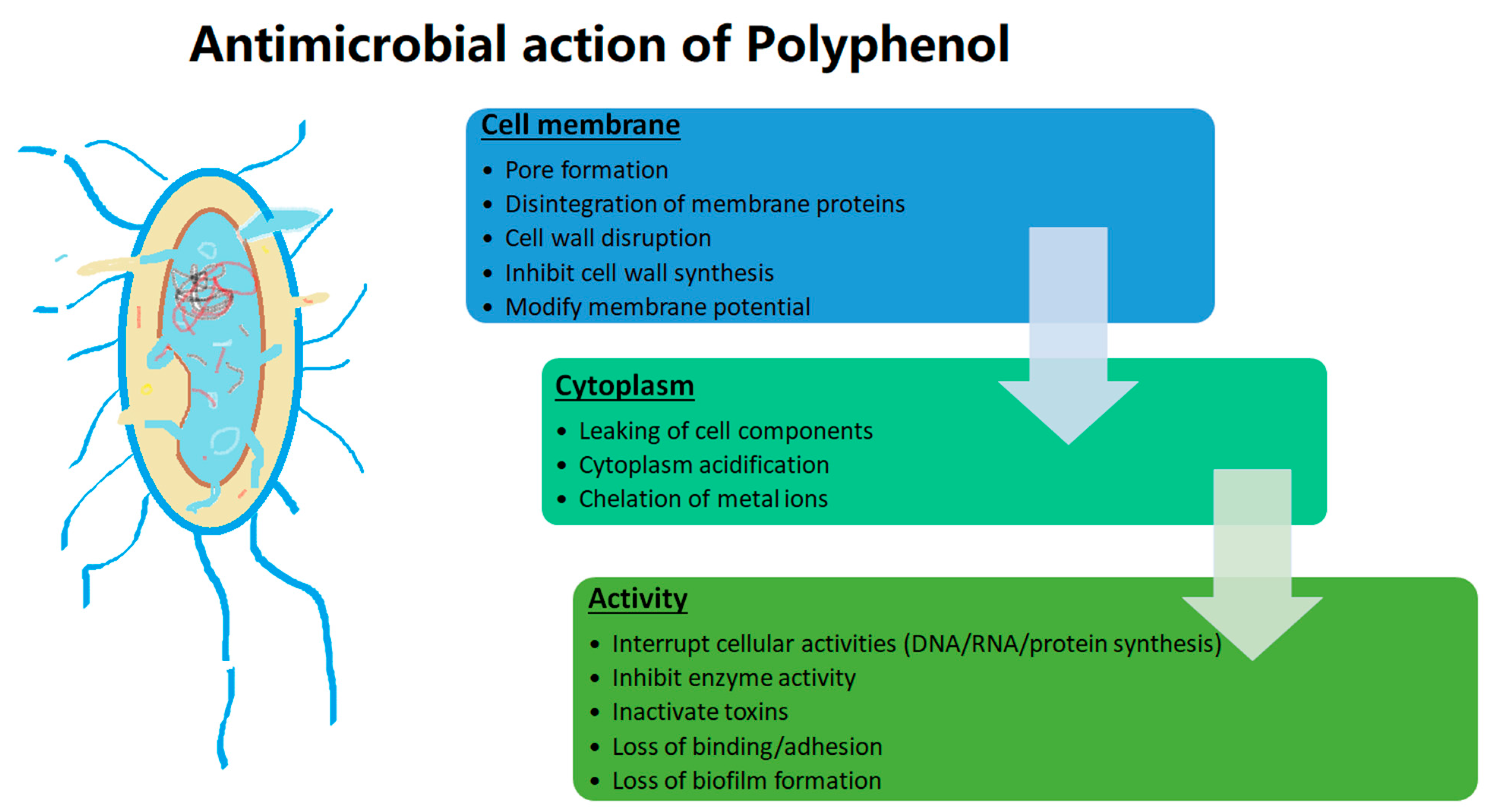 Plants 12 01217 g004