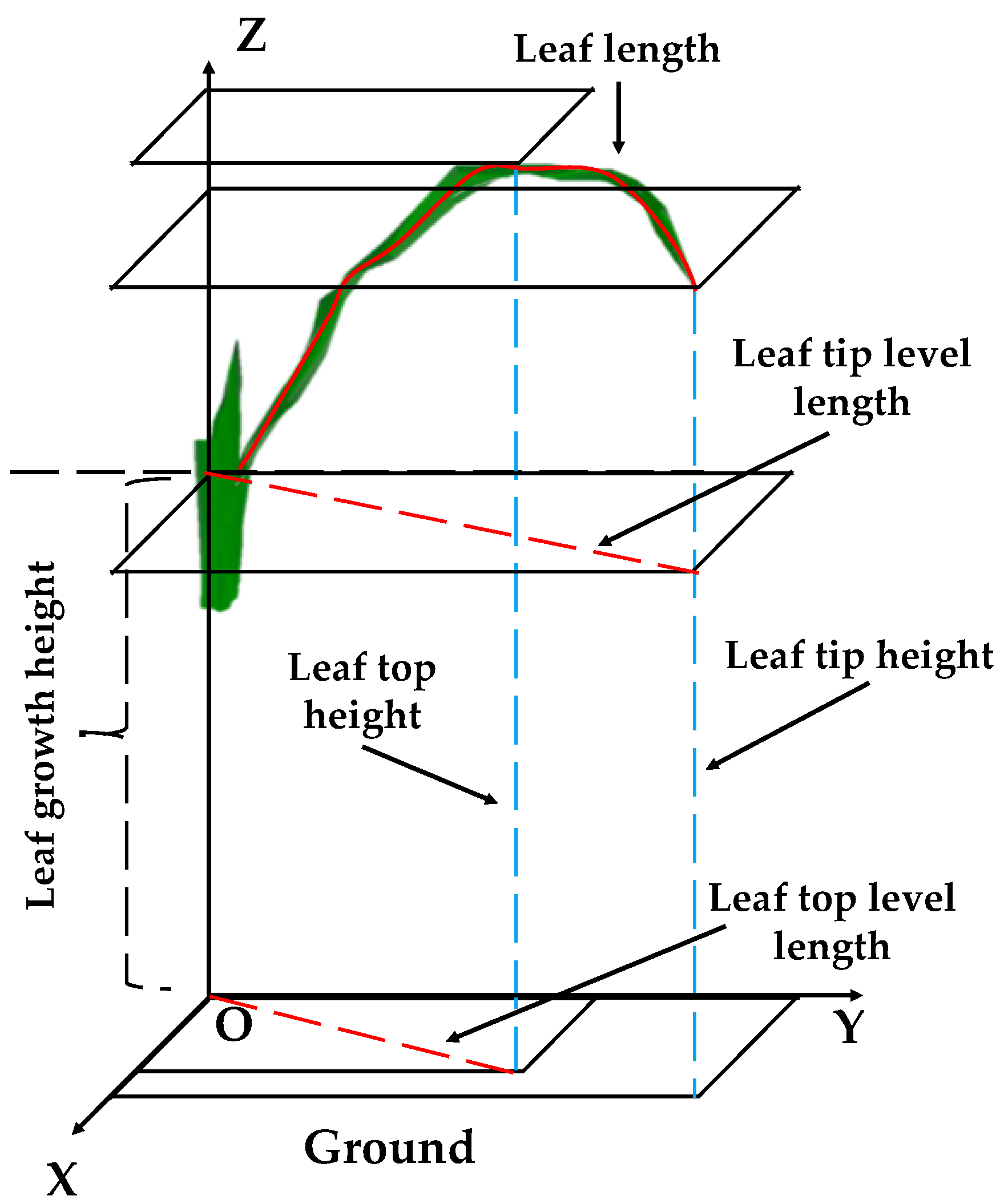 Plants 12 01229 g002 Plants 12 01229 g002