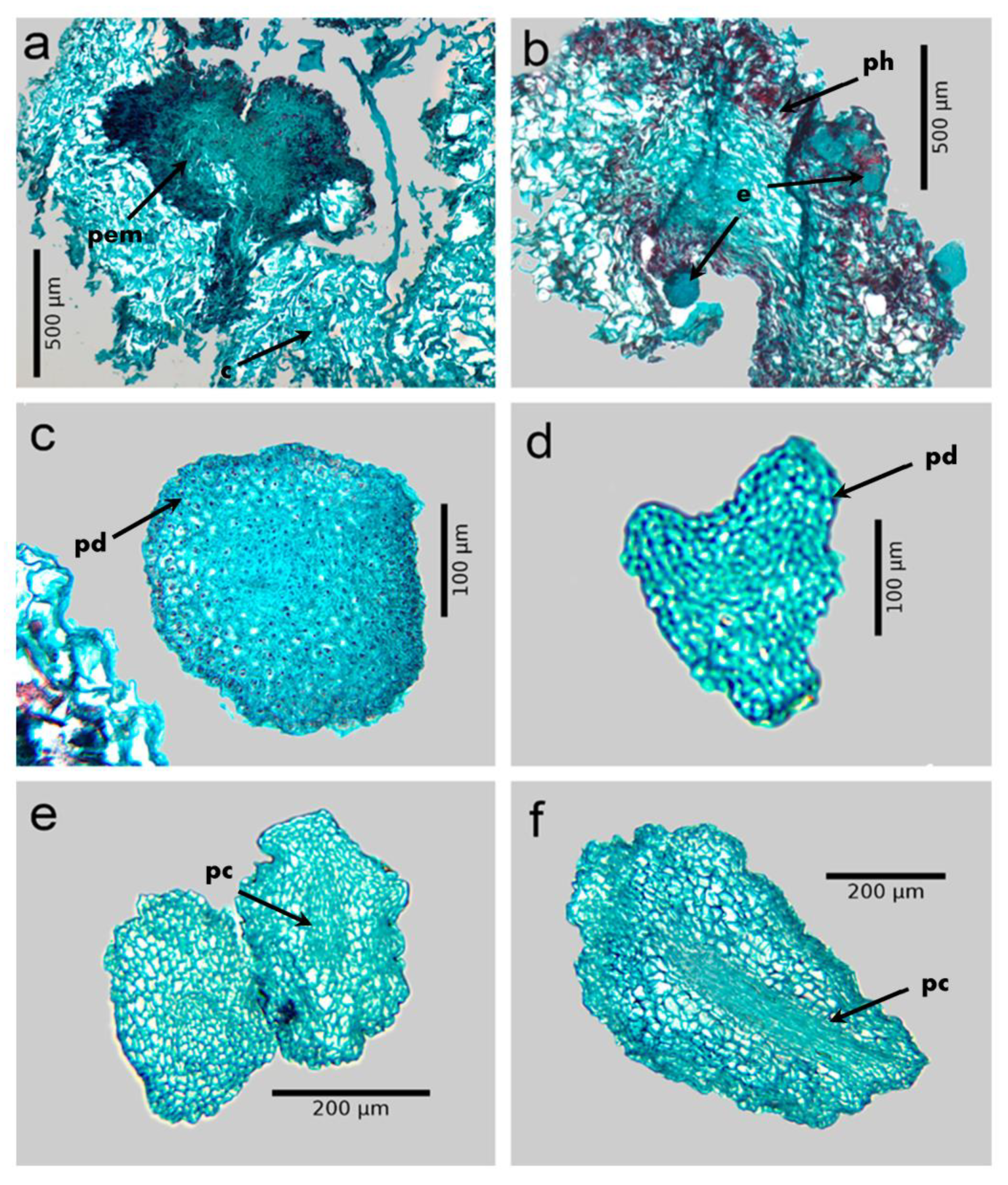 Plants 12 01237 g002