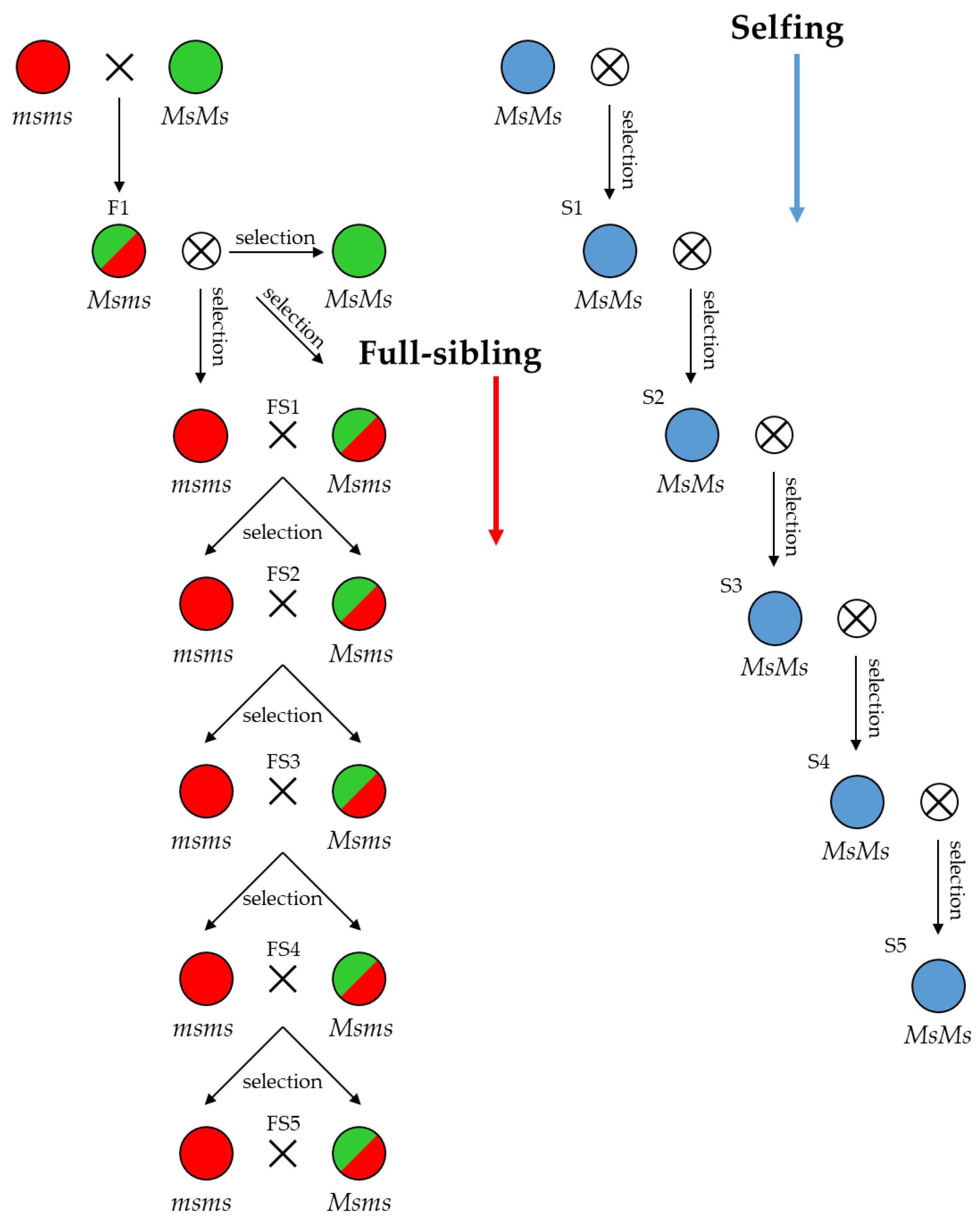 Plants 12 01242 g002