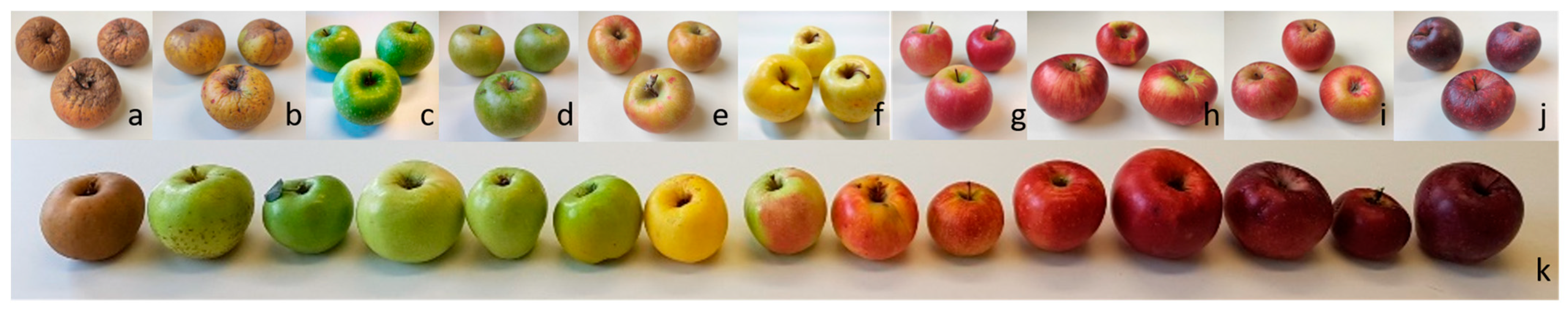 Plants 12 01249 g001