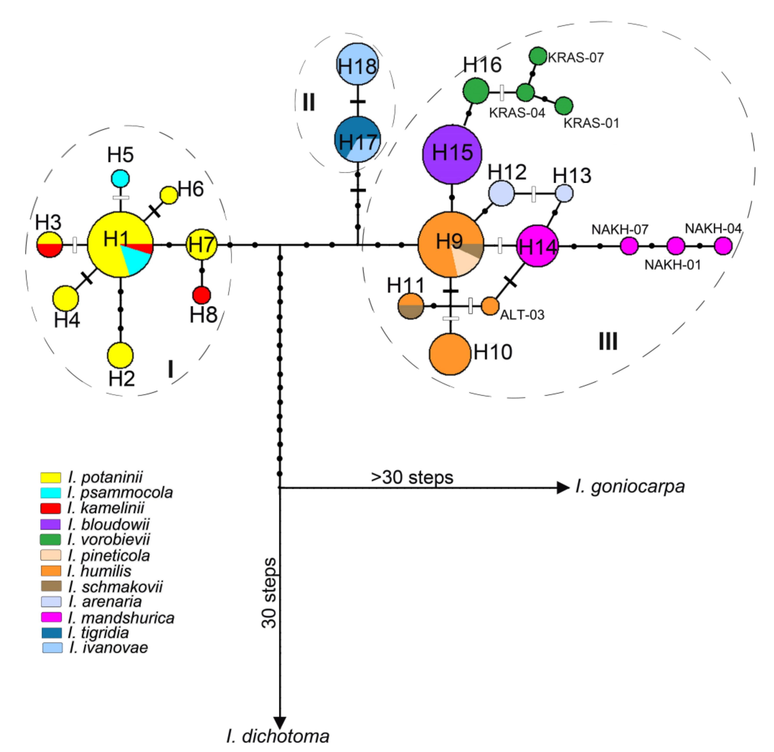 Plants 12 01254 g004 Plants 12 01254 g004