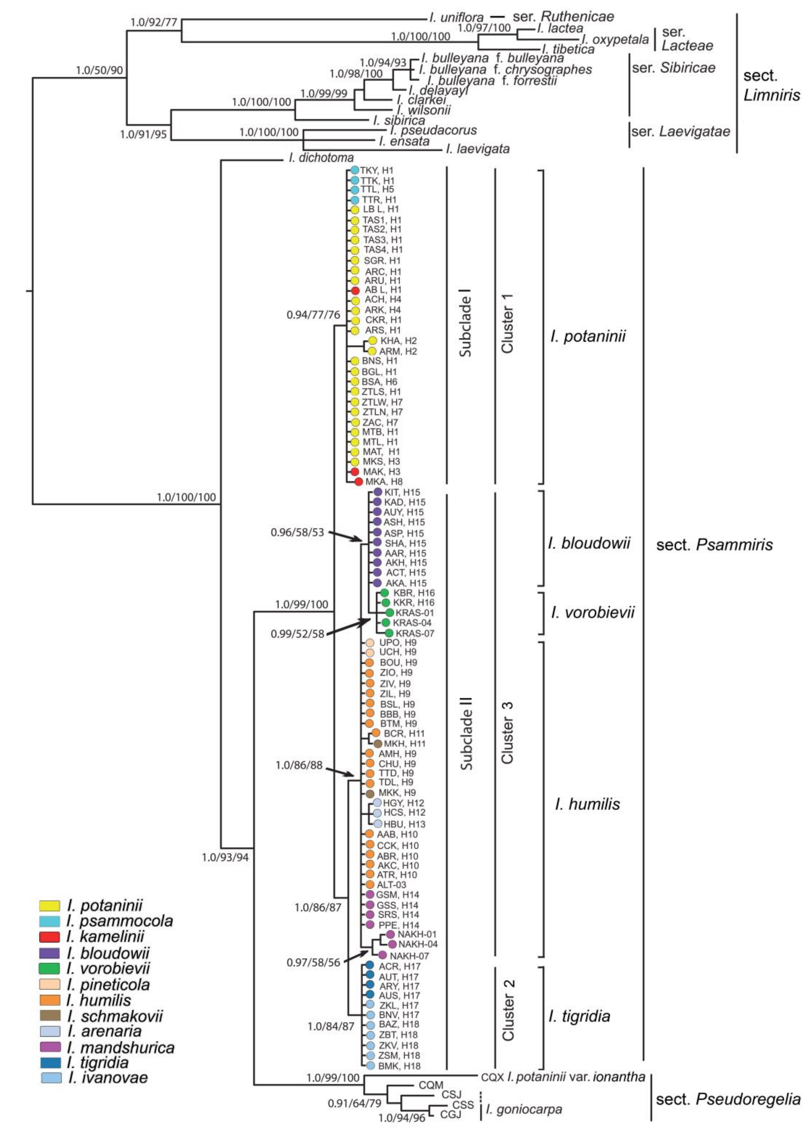 Plants 12 01254 g005 Plants 12 01254 g005