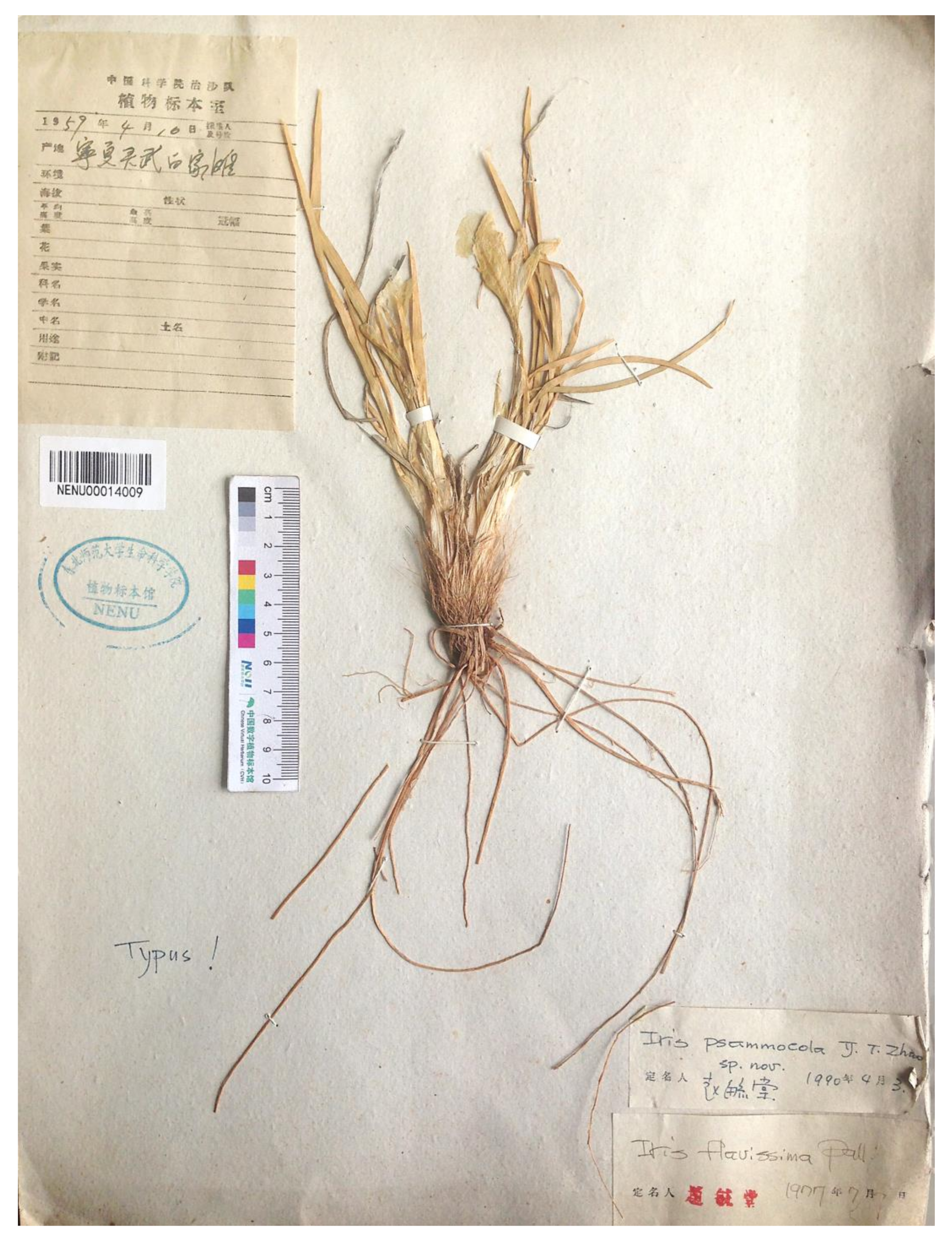 Plants 12 01254 g007 Plants 12 01254 g007