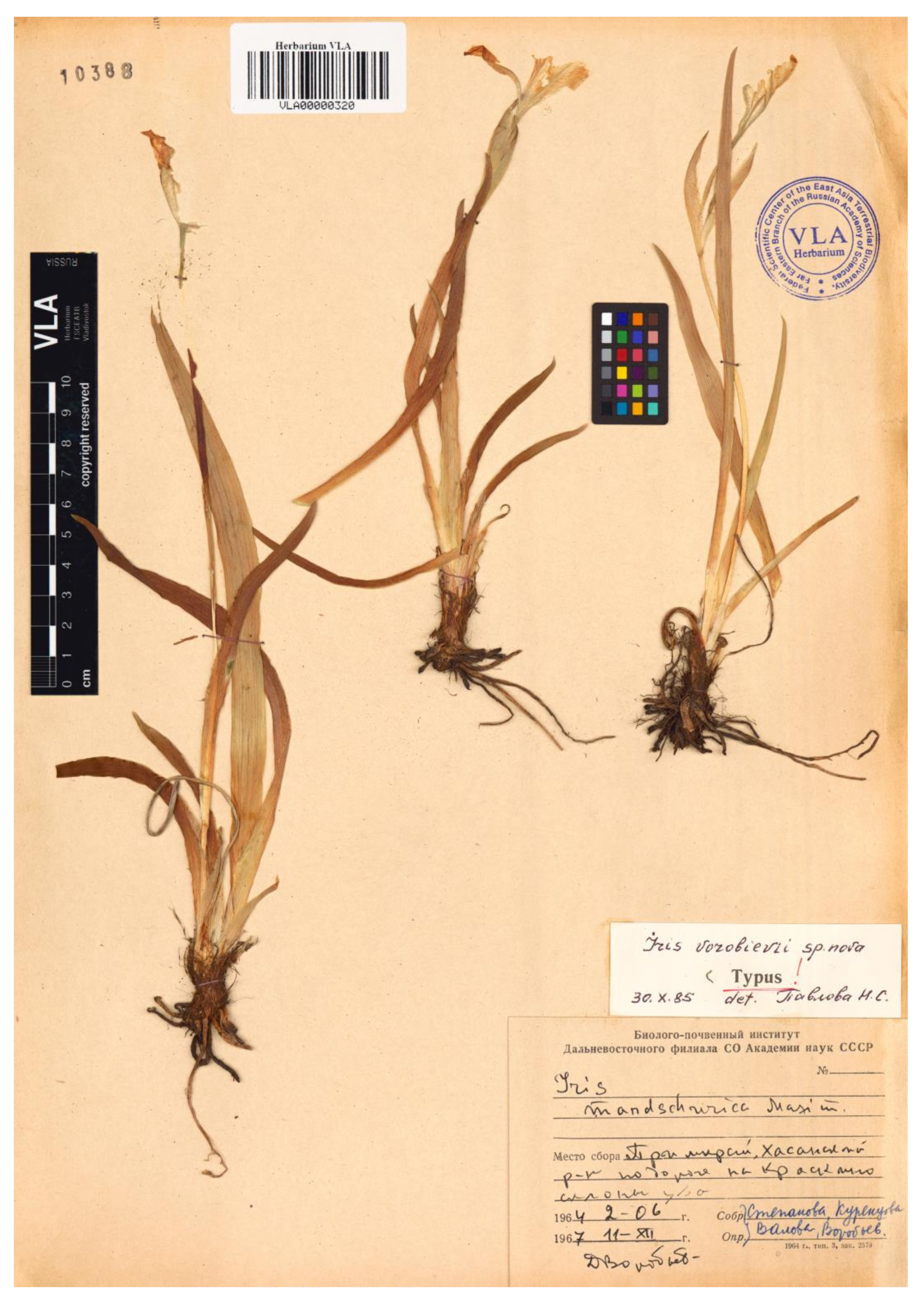 Plants 12 01254 g008 Plants 12 01254 g008