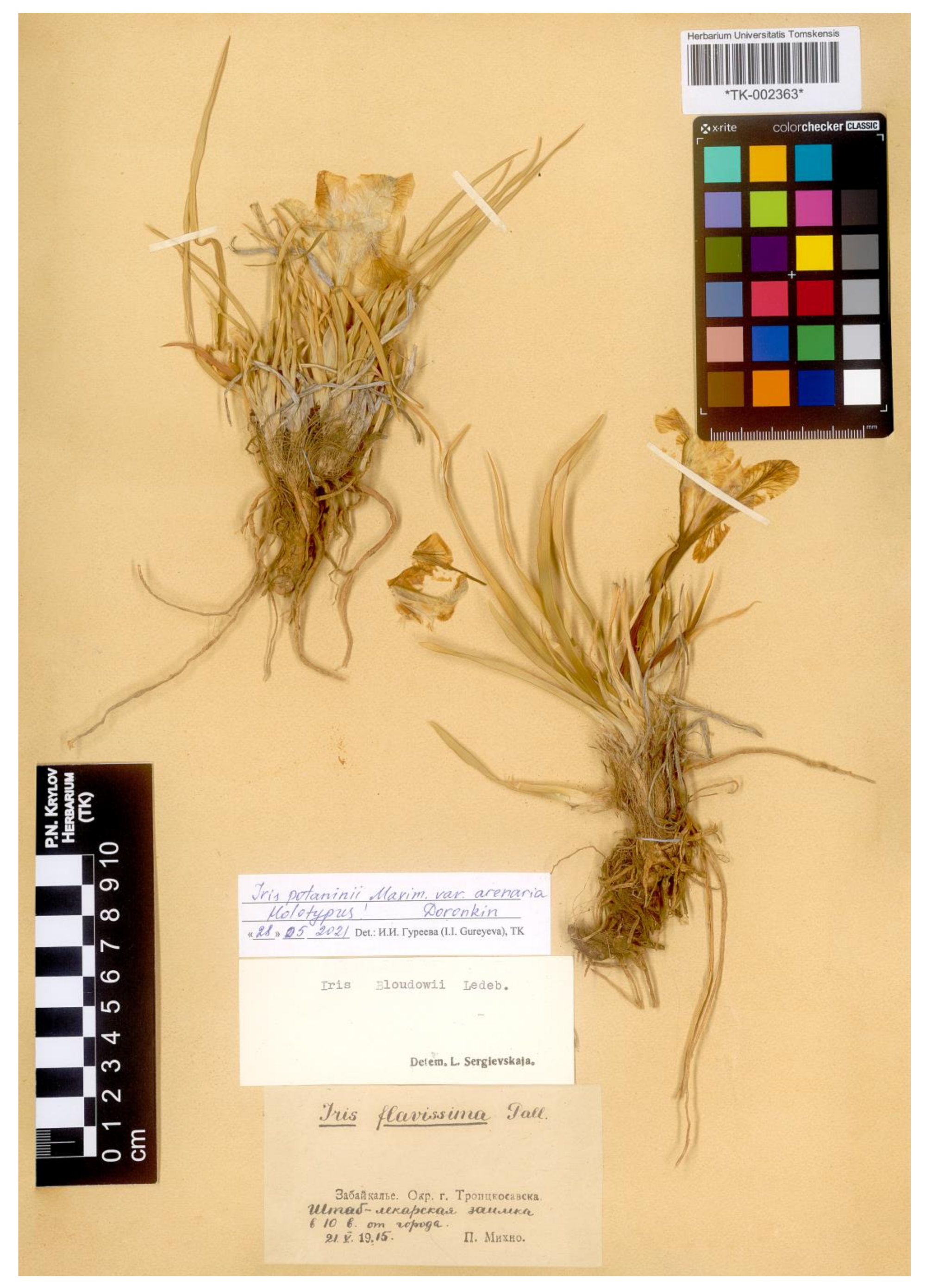 Plants 12 01254 g009 Plants 12 01254 g009