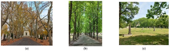 Plants 12 01269 g003