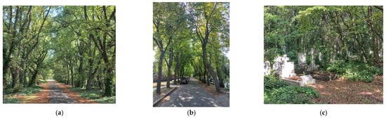 Plants 12 01269 g004