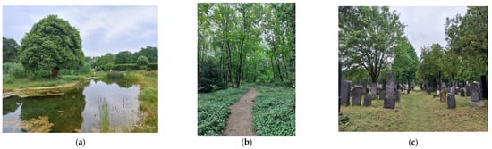 Plants 12 01269 g005