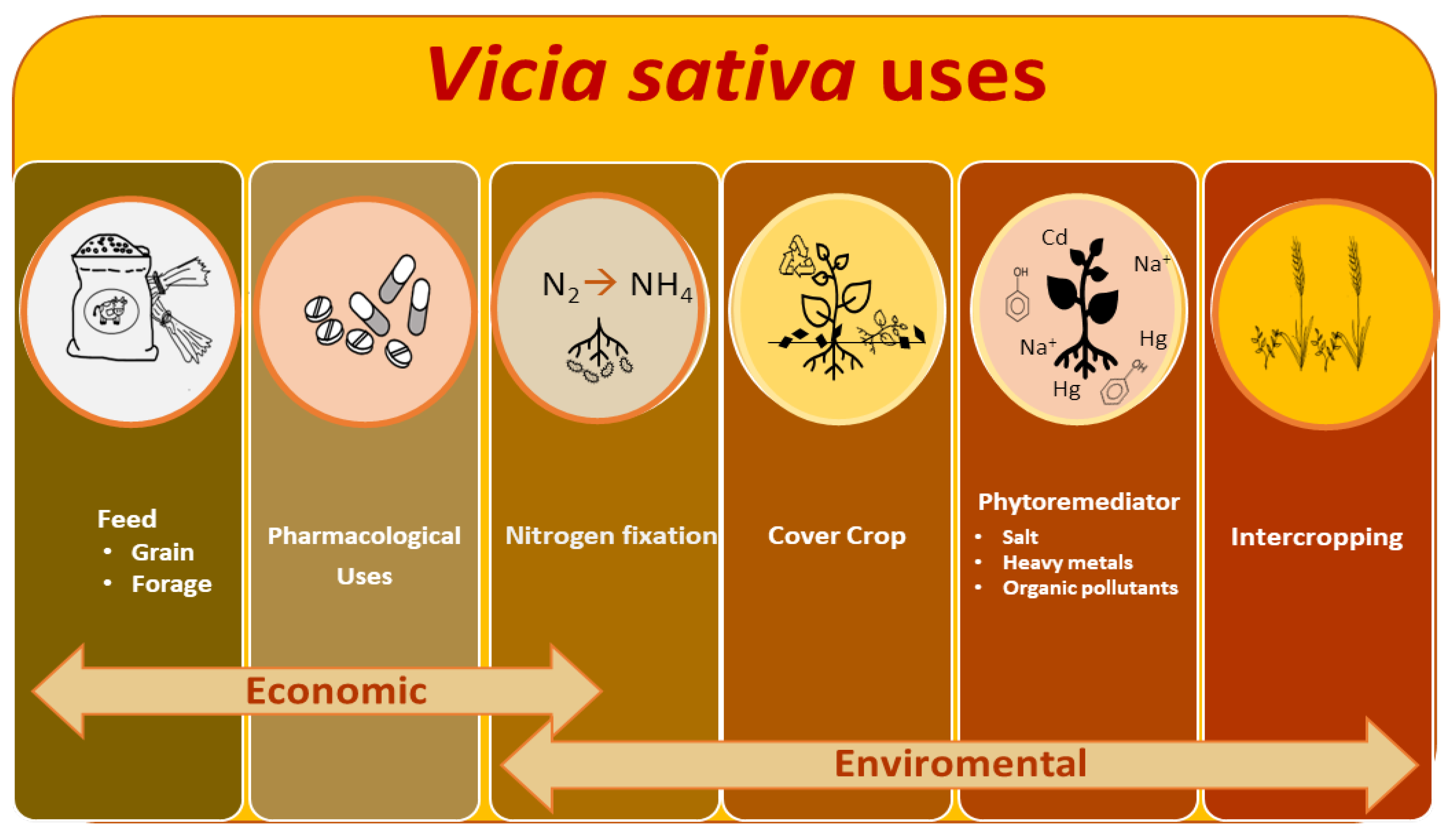 Plants 12 01275 g001 Plants 12 01275 g001