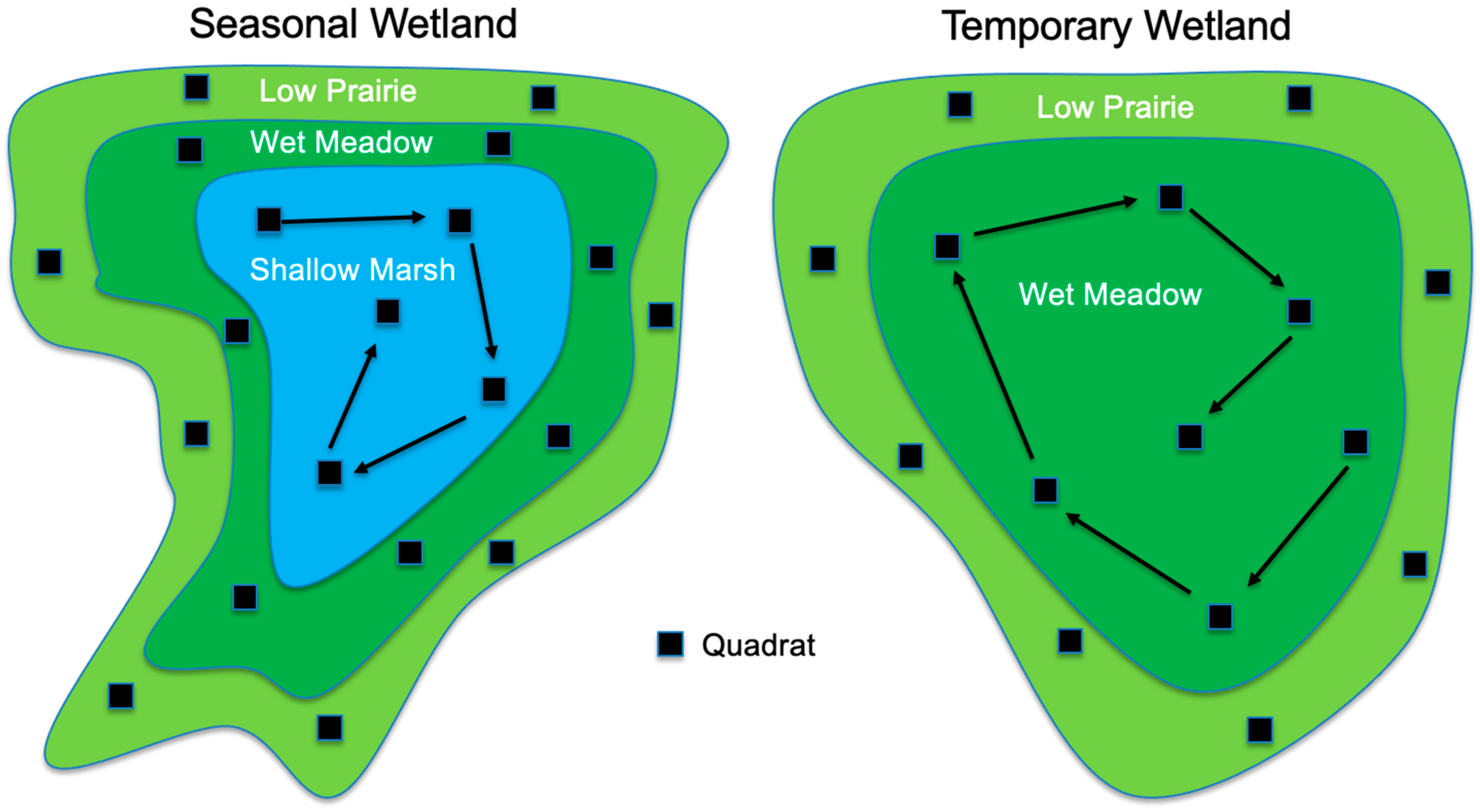 Plants 12 01281 g004