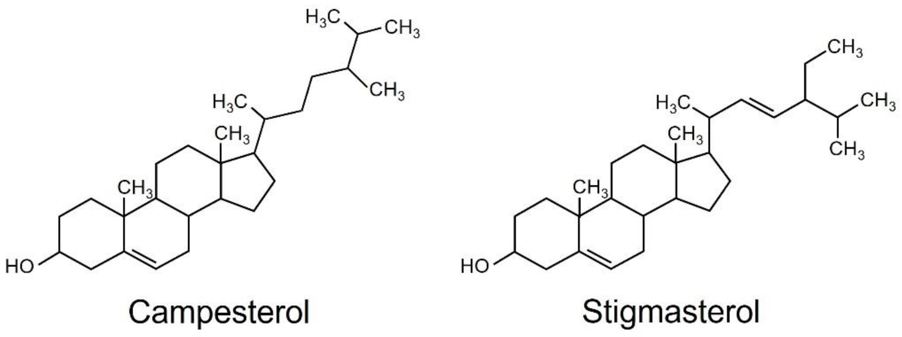 Plants 12 01282 g002